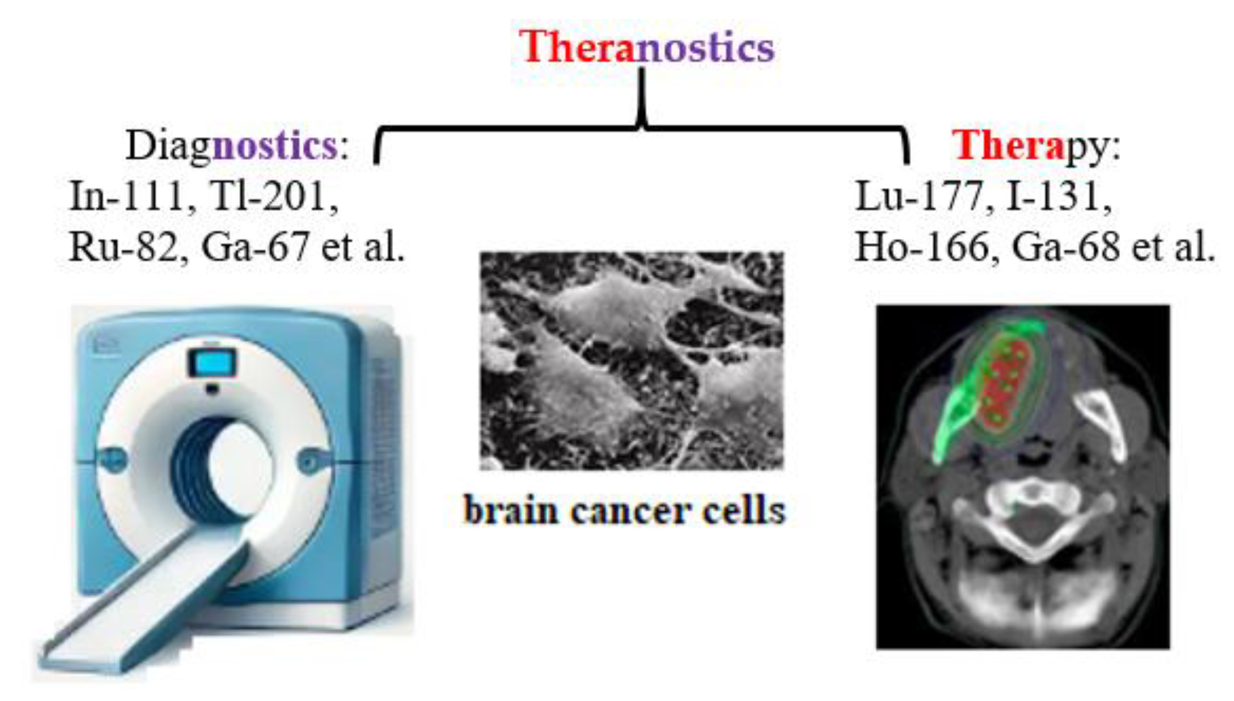 Medsci 13 00107 g003