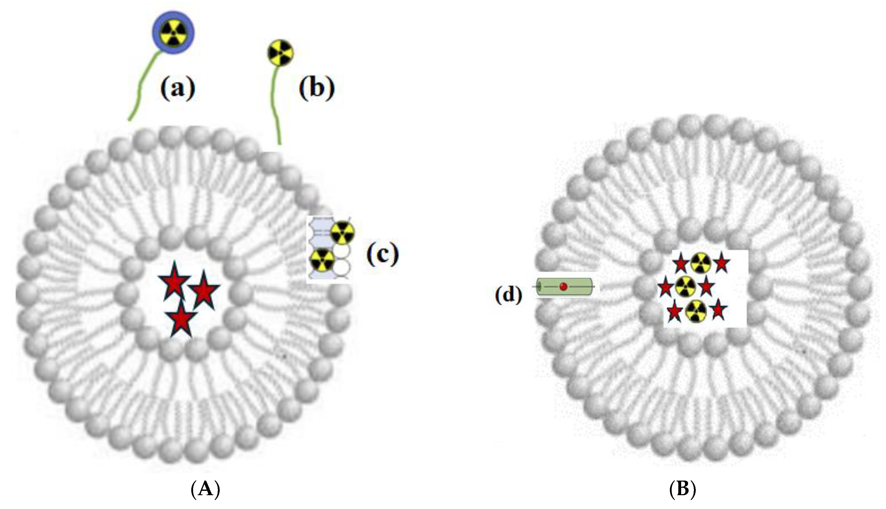 Medsci 13 00107 g013
