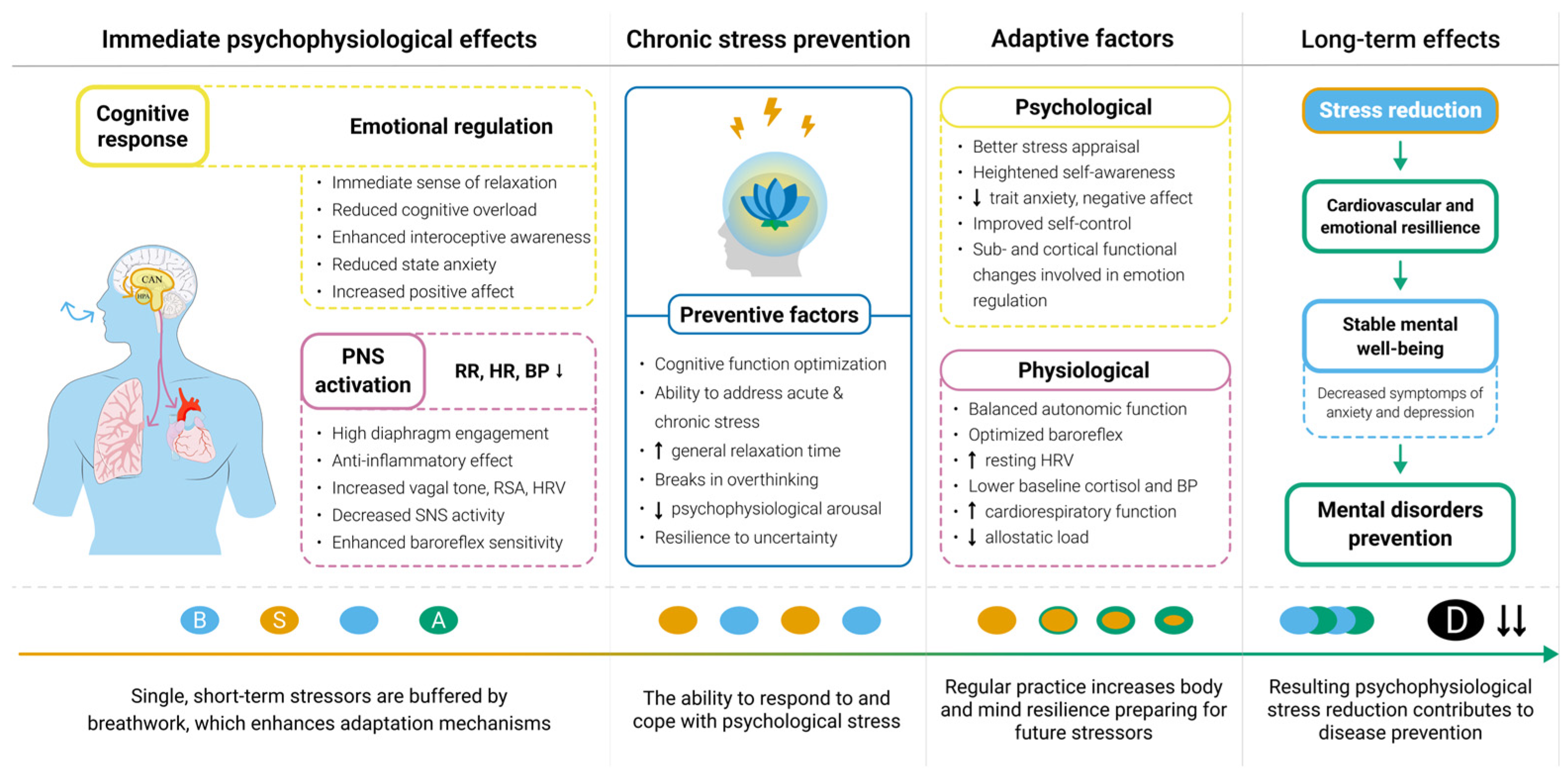 Medsci 13 00127 g003