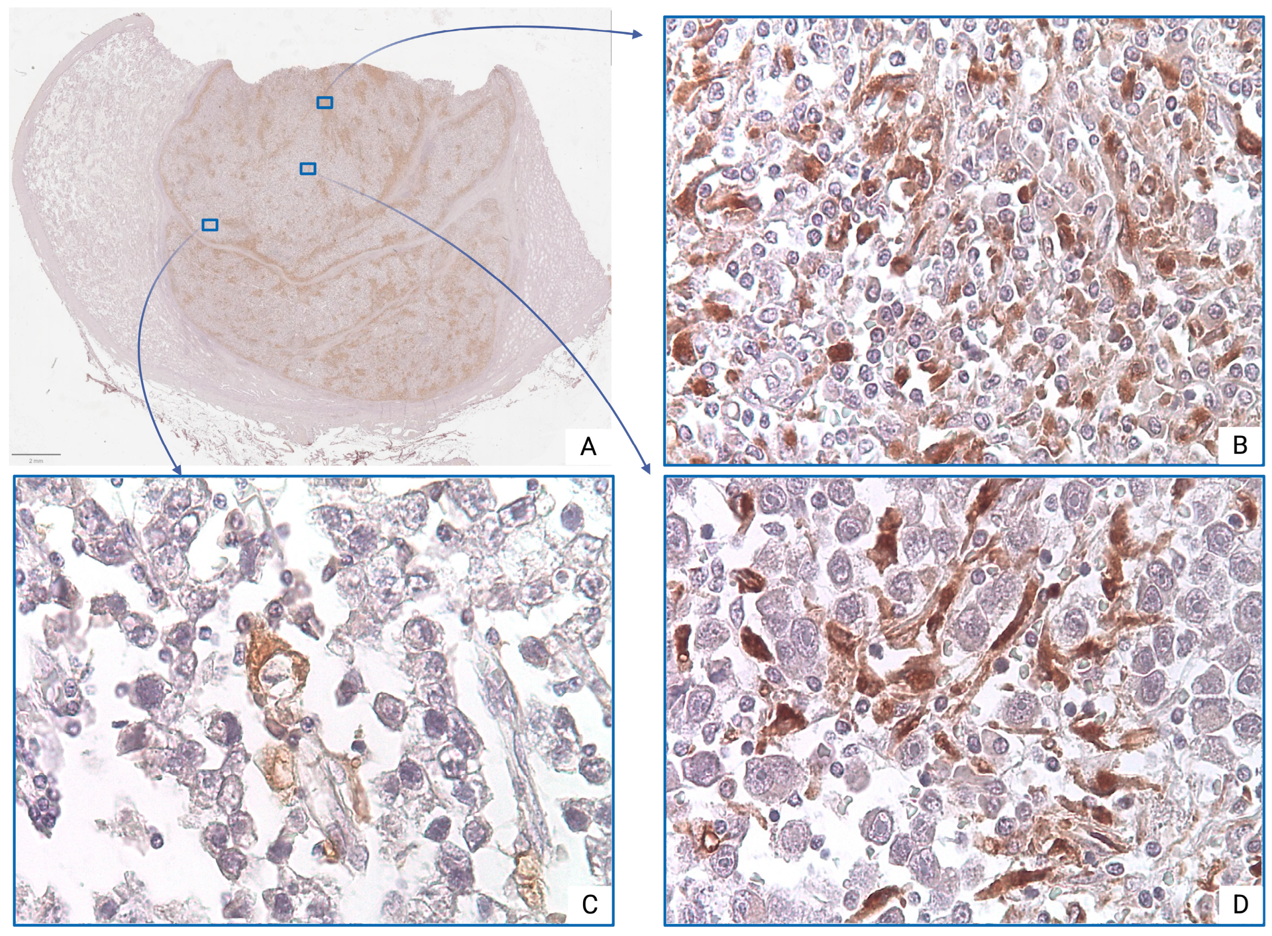 Medsci 13 00129 g002