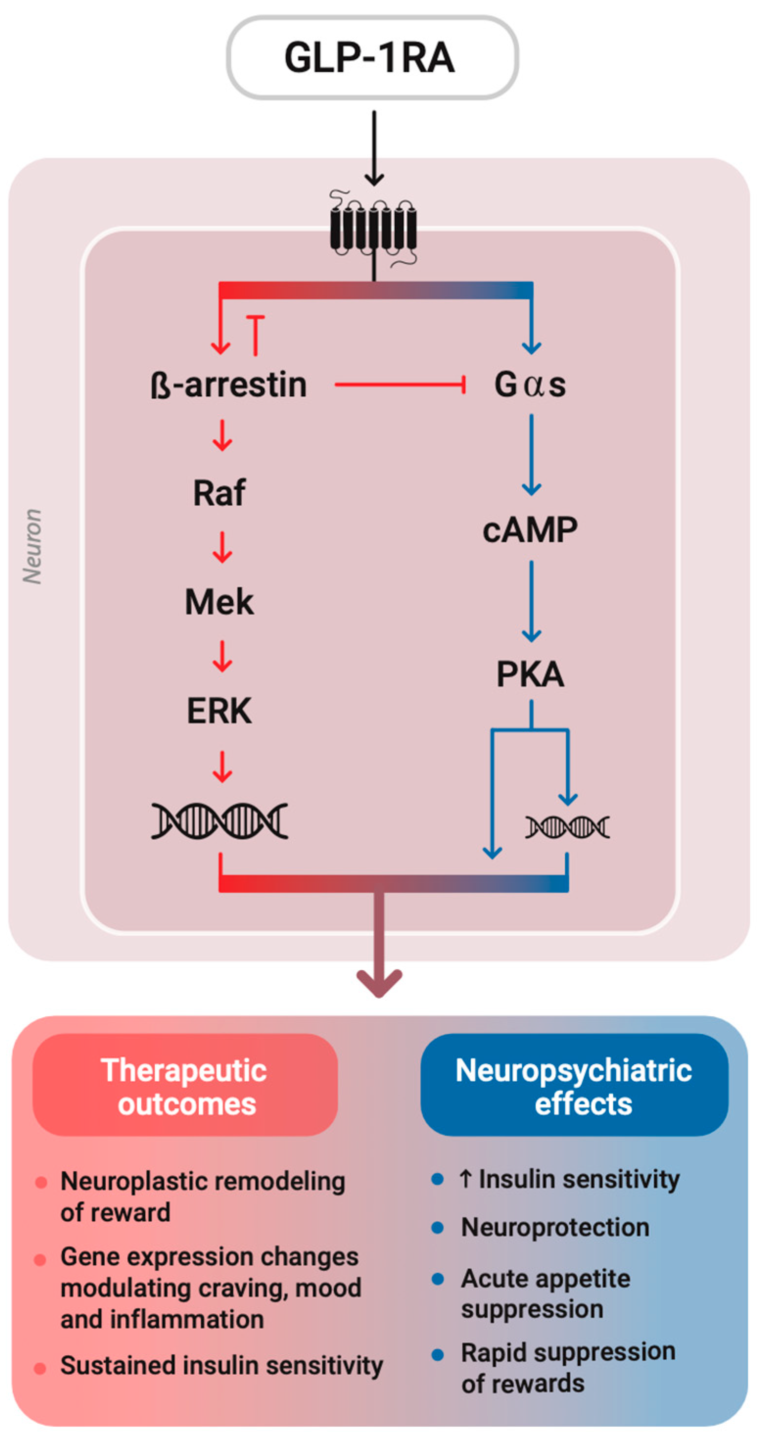 Medsci 13 00136 g001