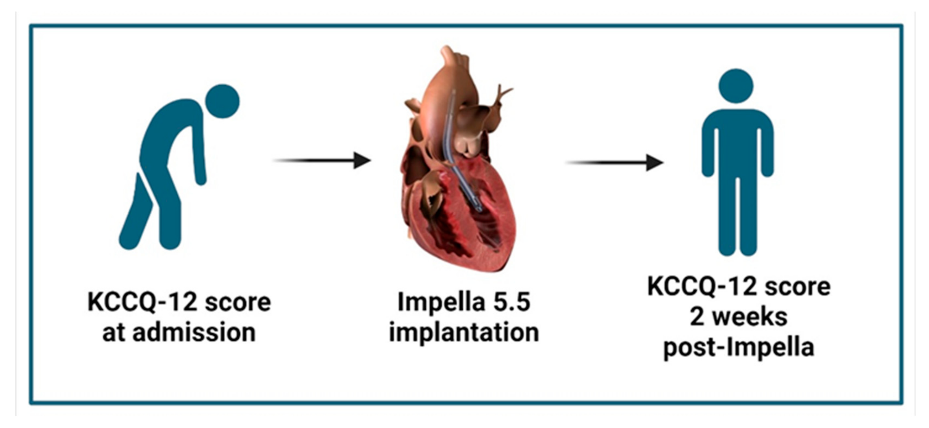 Medsci 13 00146 g003 Medsci 13 00146 g003