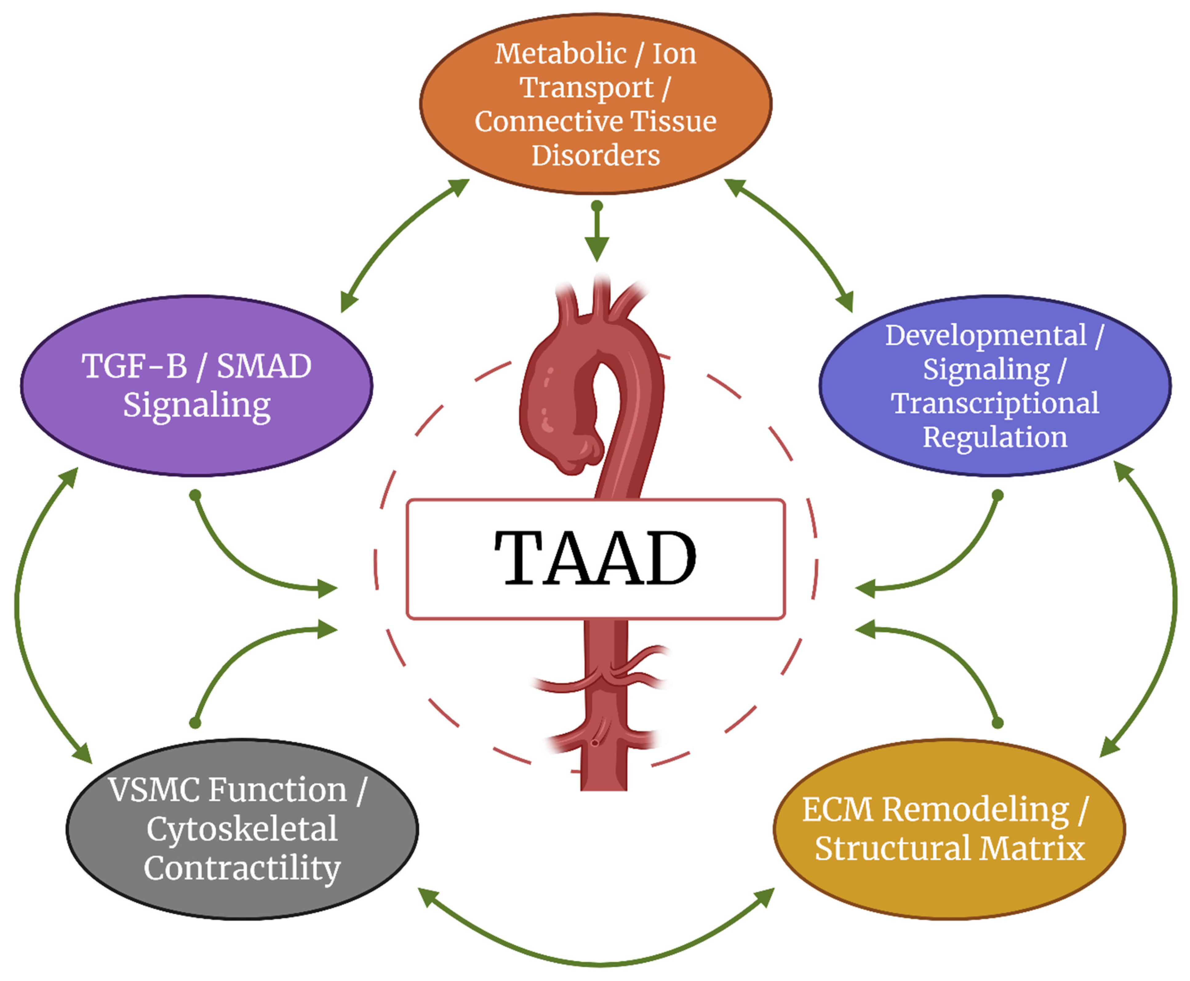 Medsci 13 00155 g001 Medsci 13 00155 g001