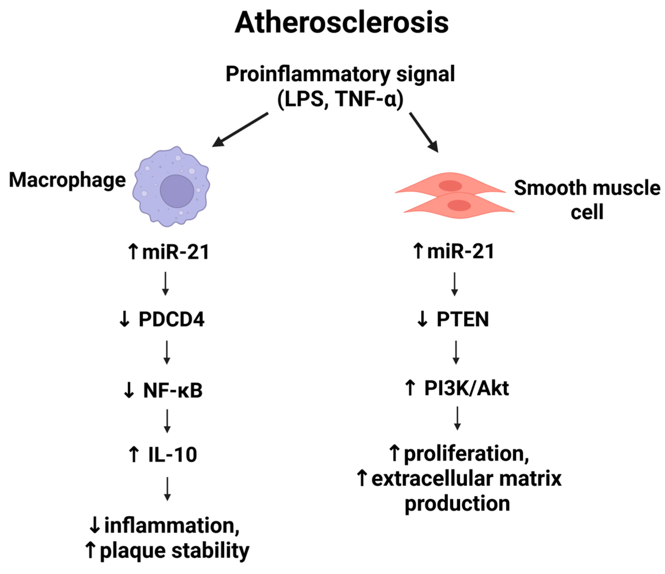 Medsci 13 00172 g002 Medsci 13 00172 g002