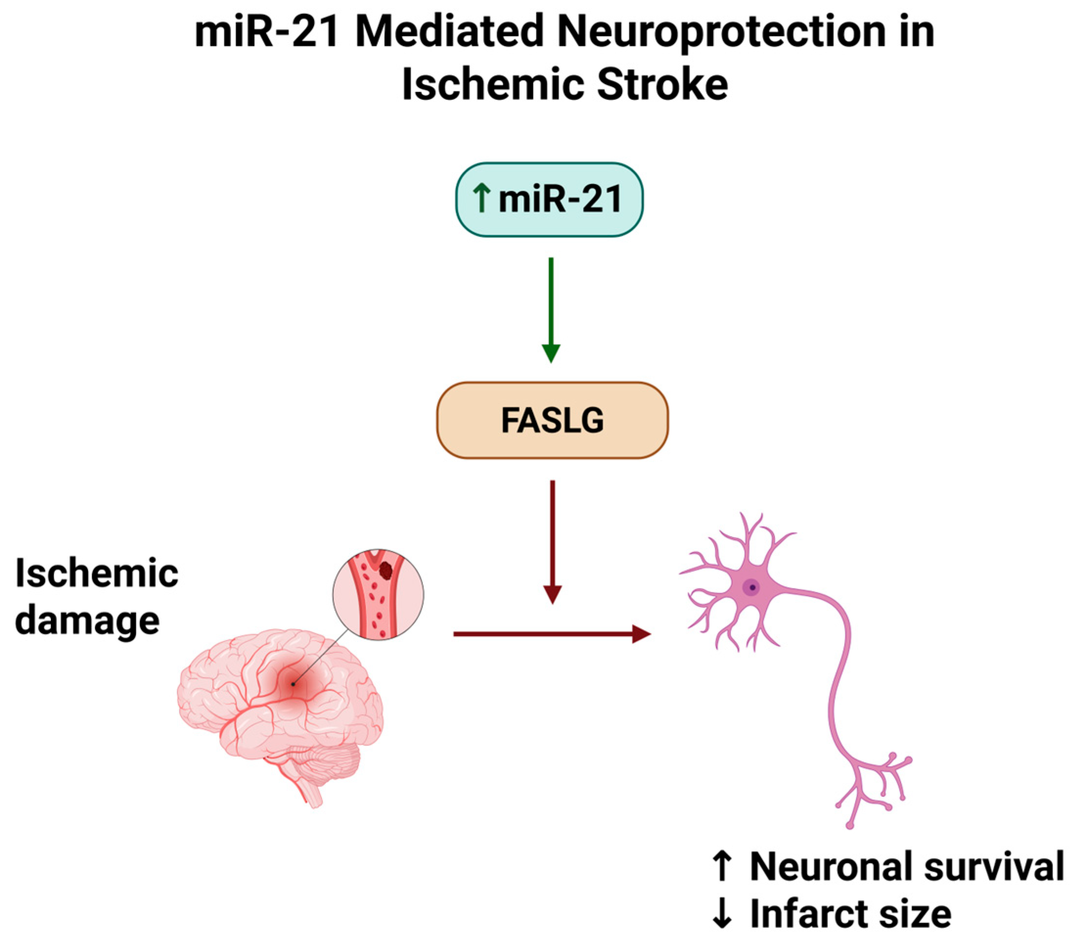 Medsci 13 00172 g003 Medsci 13 00172 g003