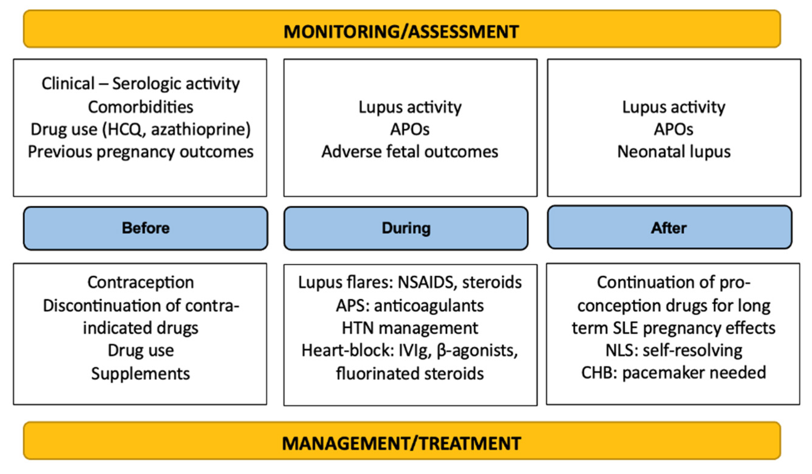 Medsci 13 00174 g002 Medsci 13 00174 g002