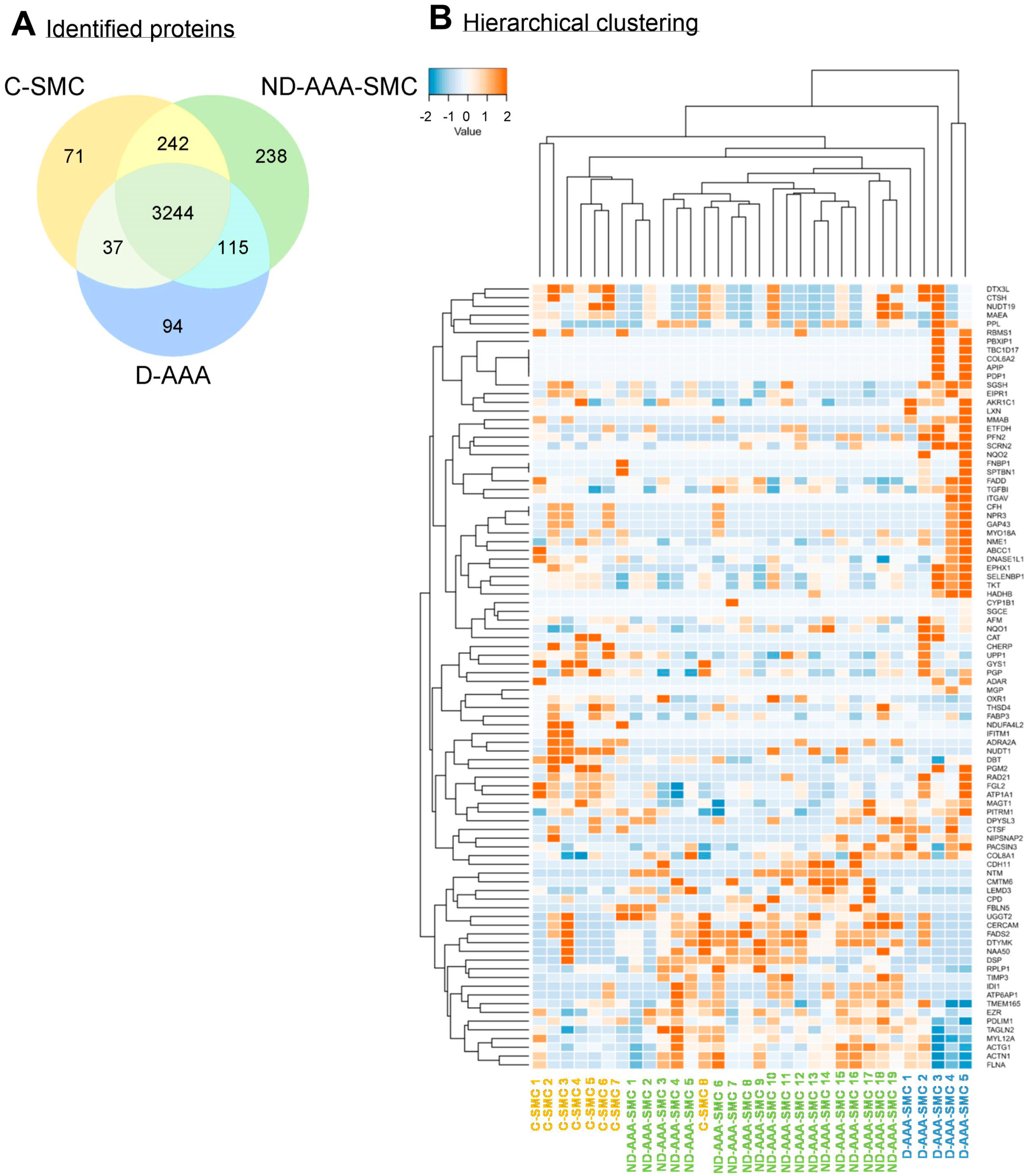 Medsci 13 00184 g001