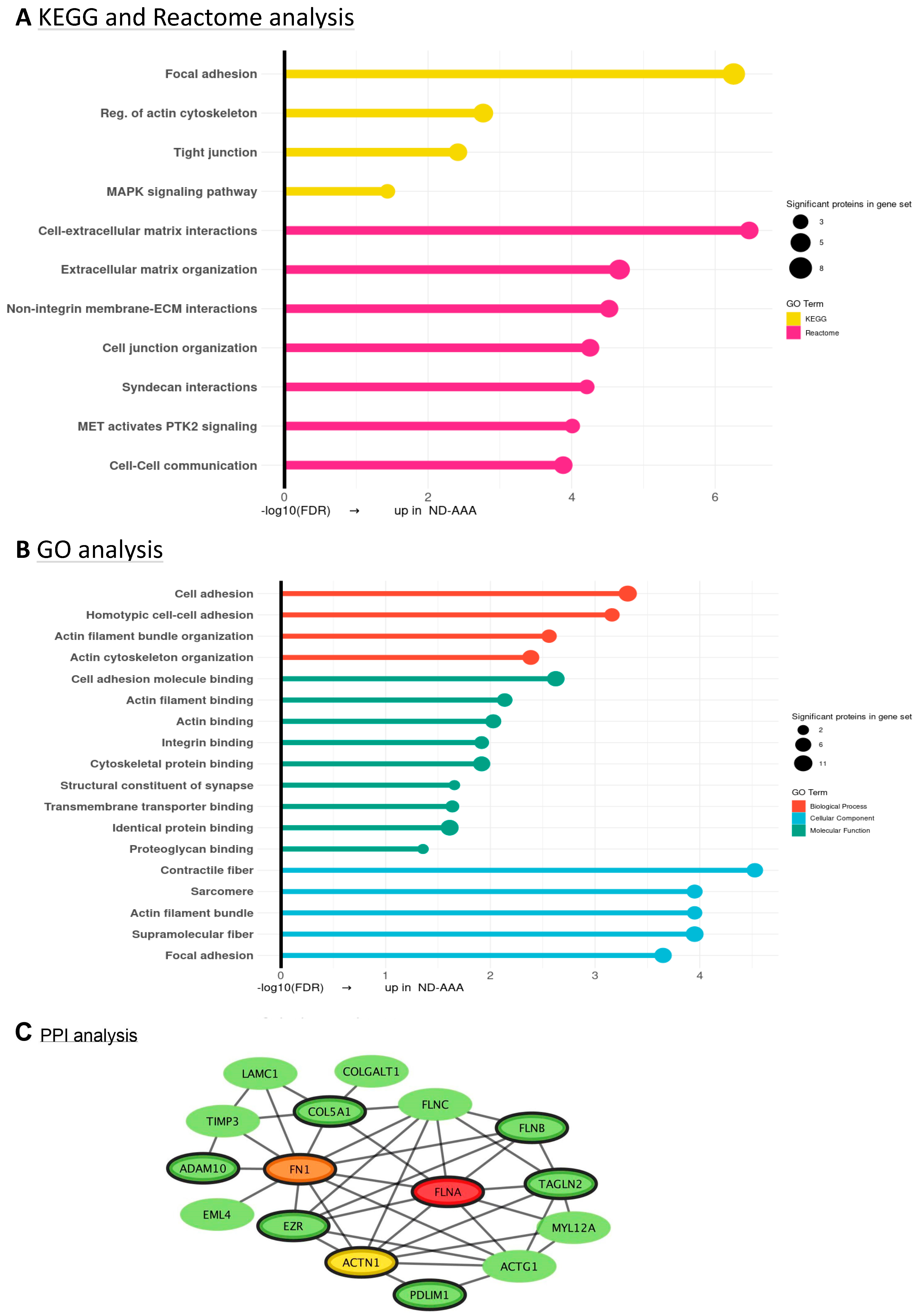 Medsci 13 00184 g004