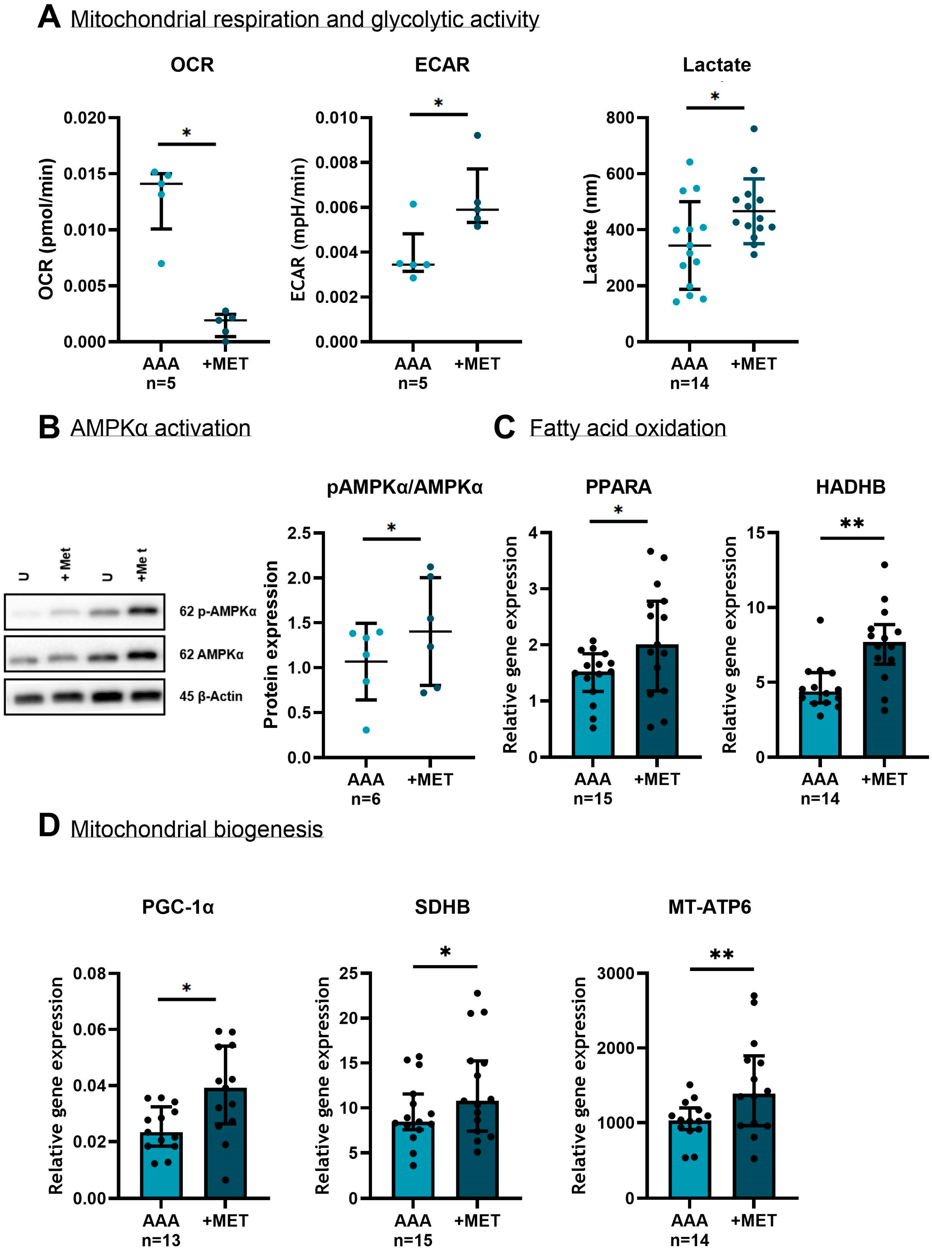Medsci 13 00184 g007