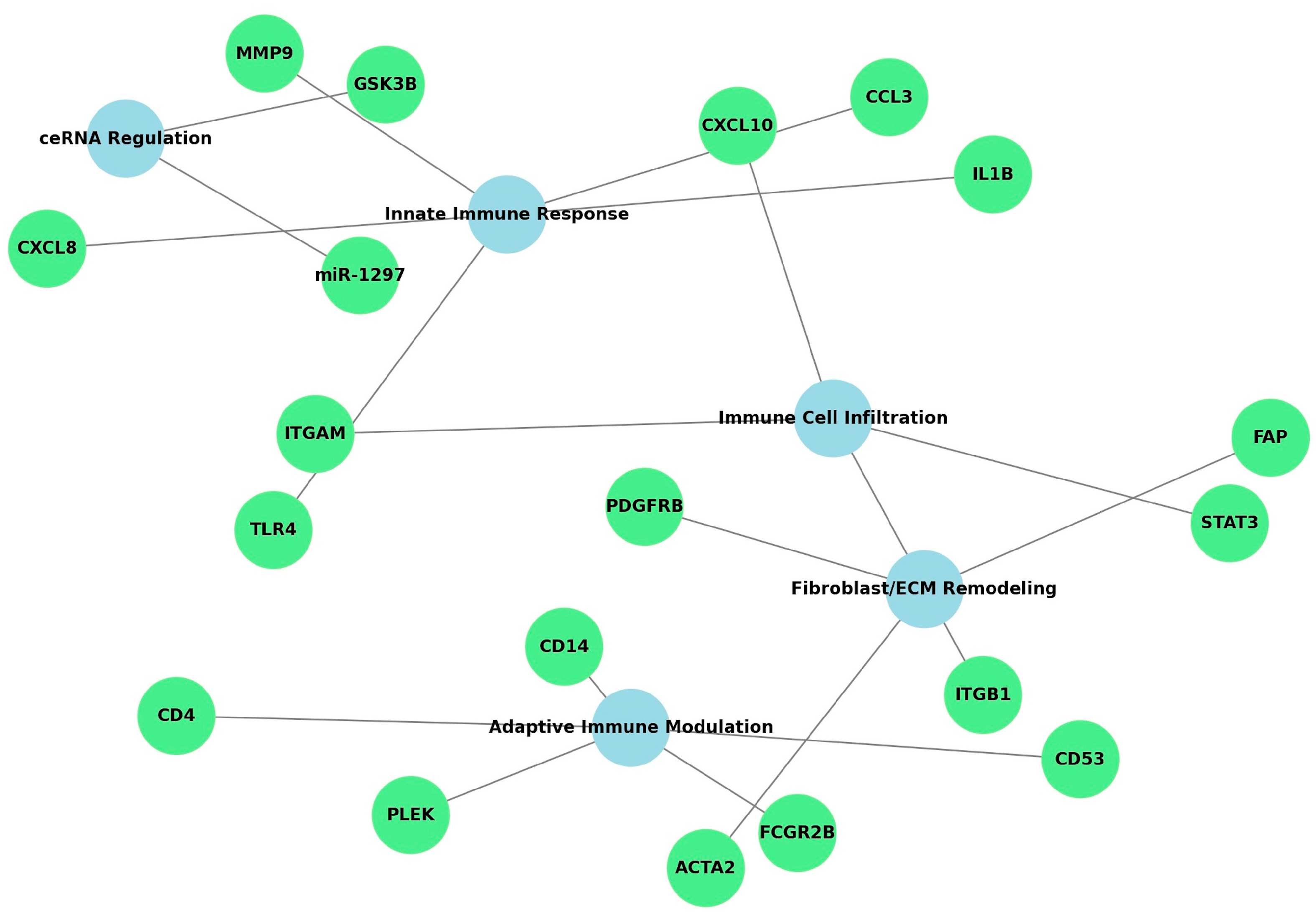 Medsci 13 00187 g002