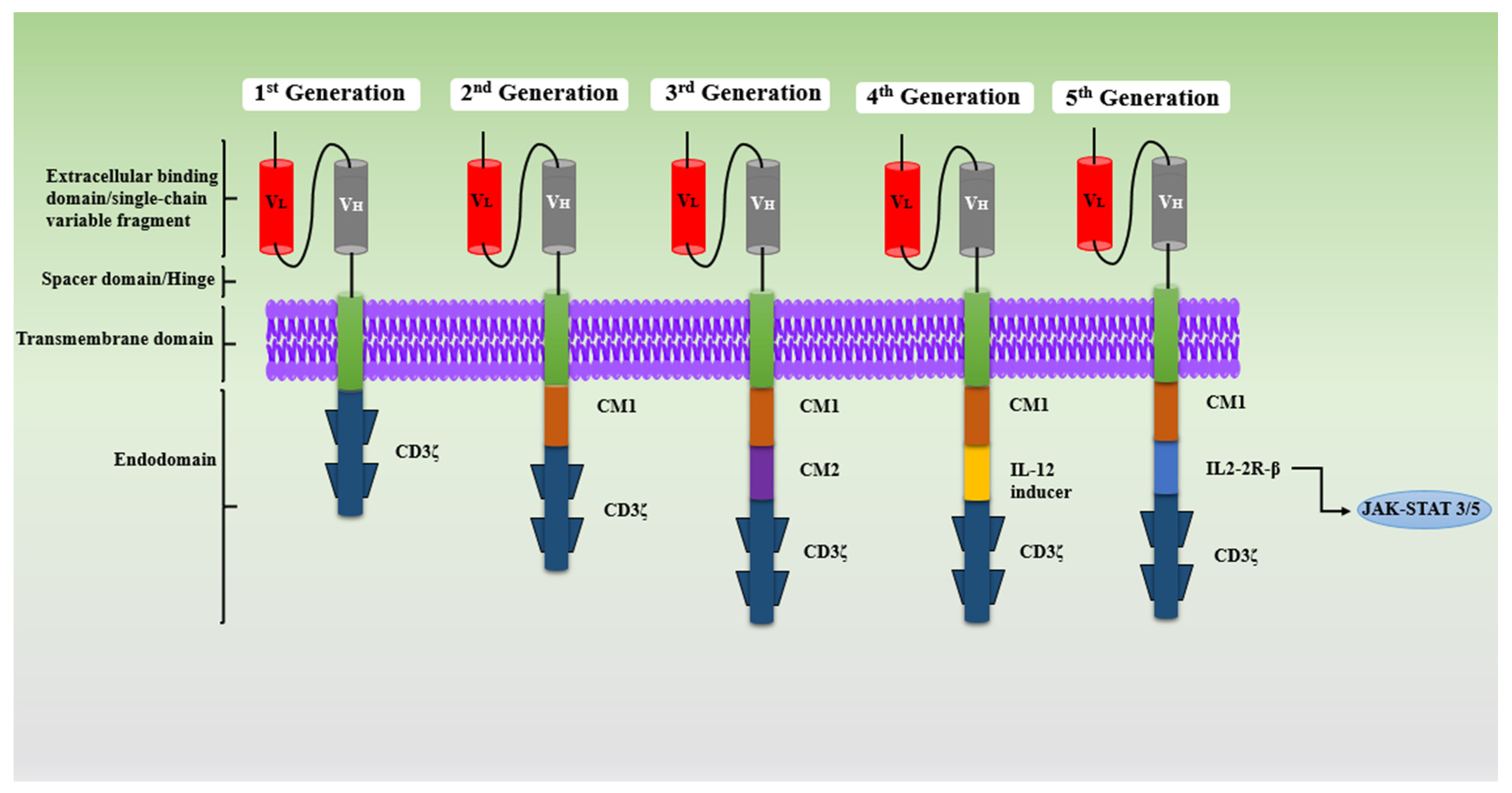Medsci 13 00190 g002 Medsci 13 00190 g002