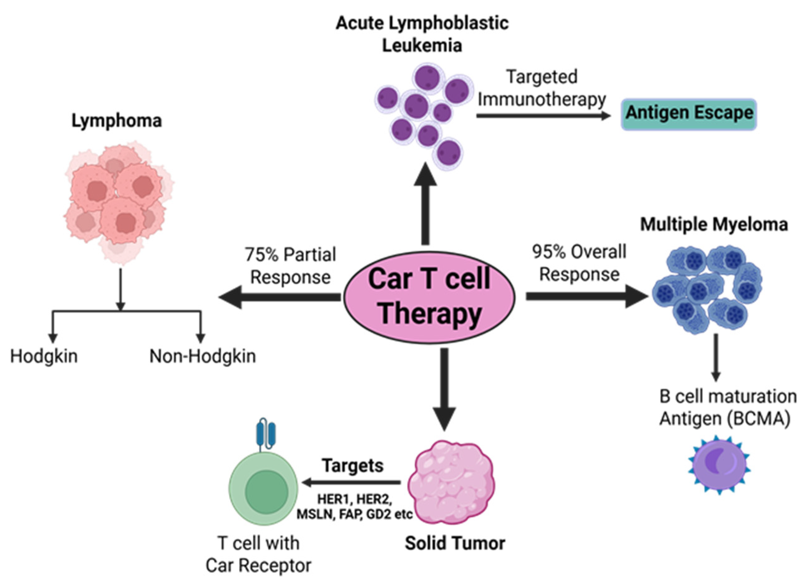 Medsci 13 00190 g003 Medsci 13 00190 g003