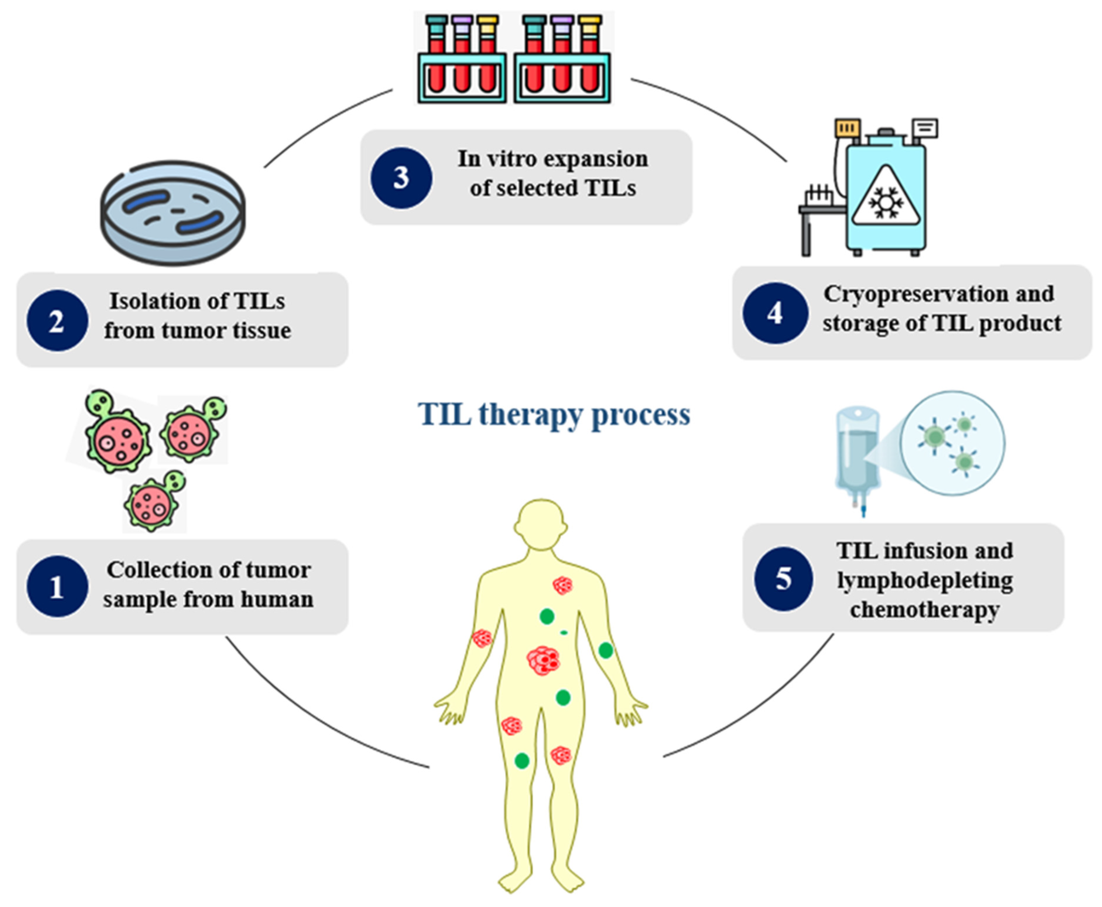 Medsci 13 00190 g005 Medsci 13 00190 g005