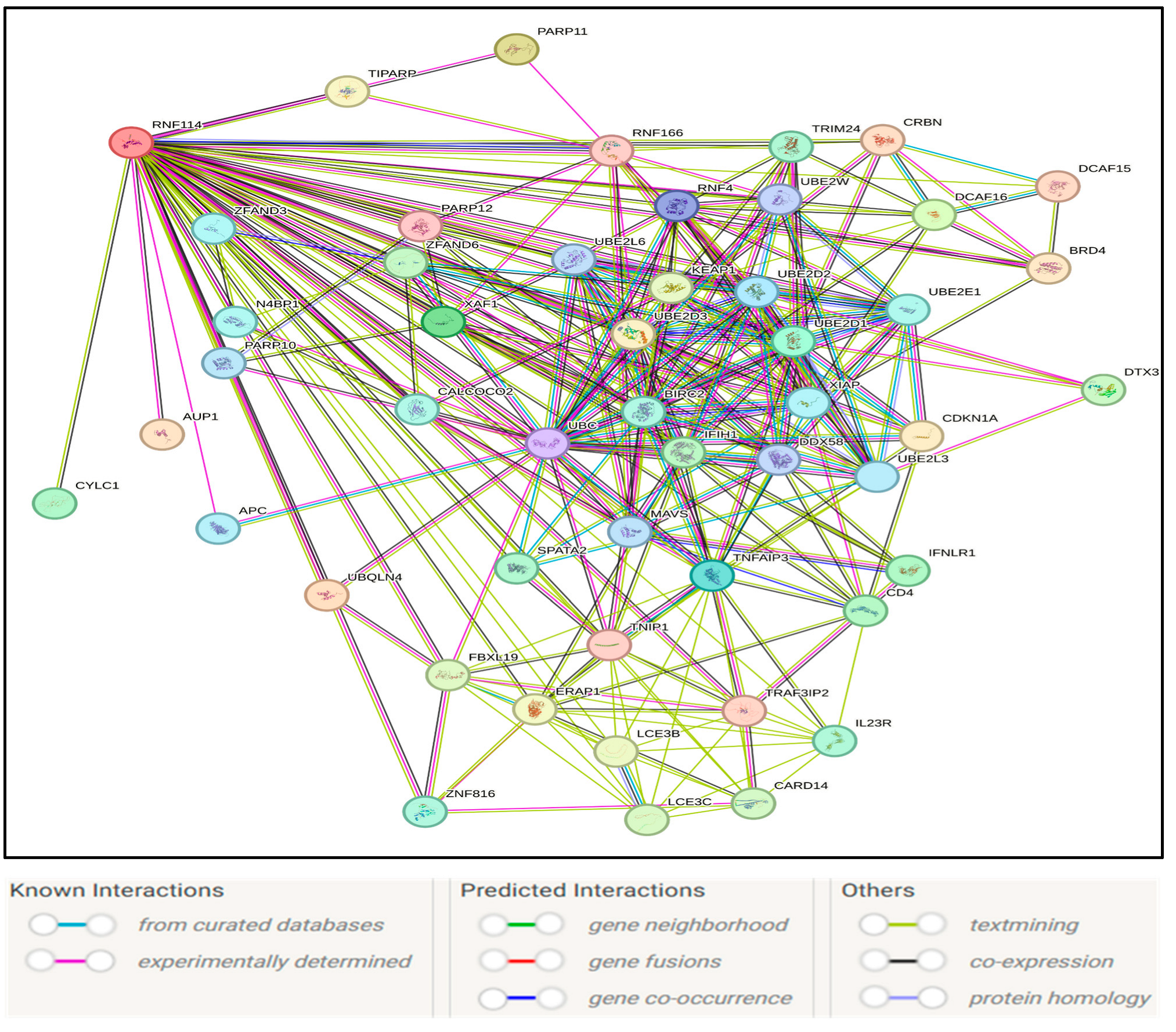 Medsci 13 00194 g004 Medsci 13 00194 g004