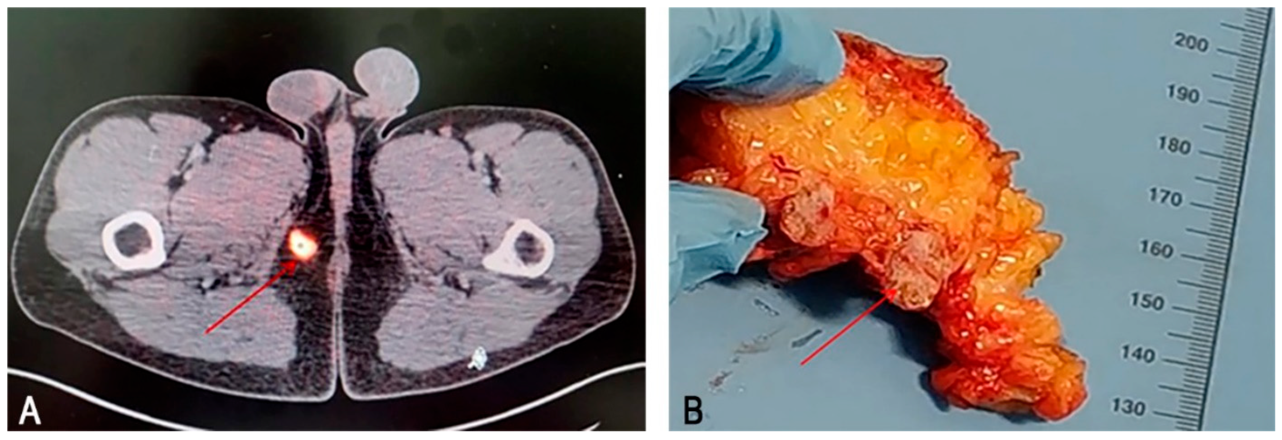 Medsci 13 00195 g001 Medsci 13 00195 g001