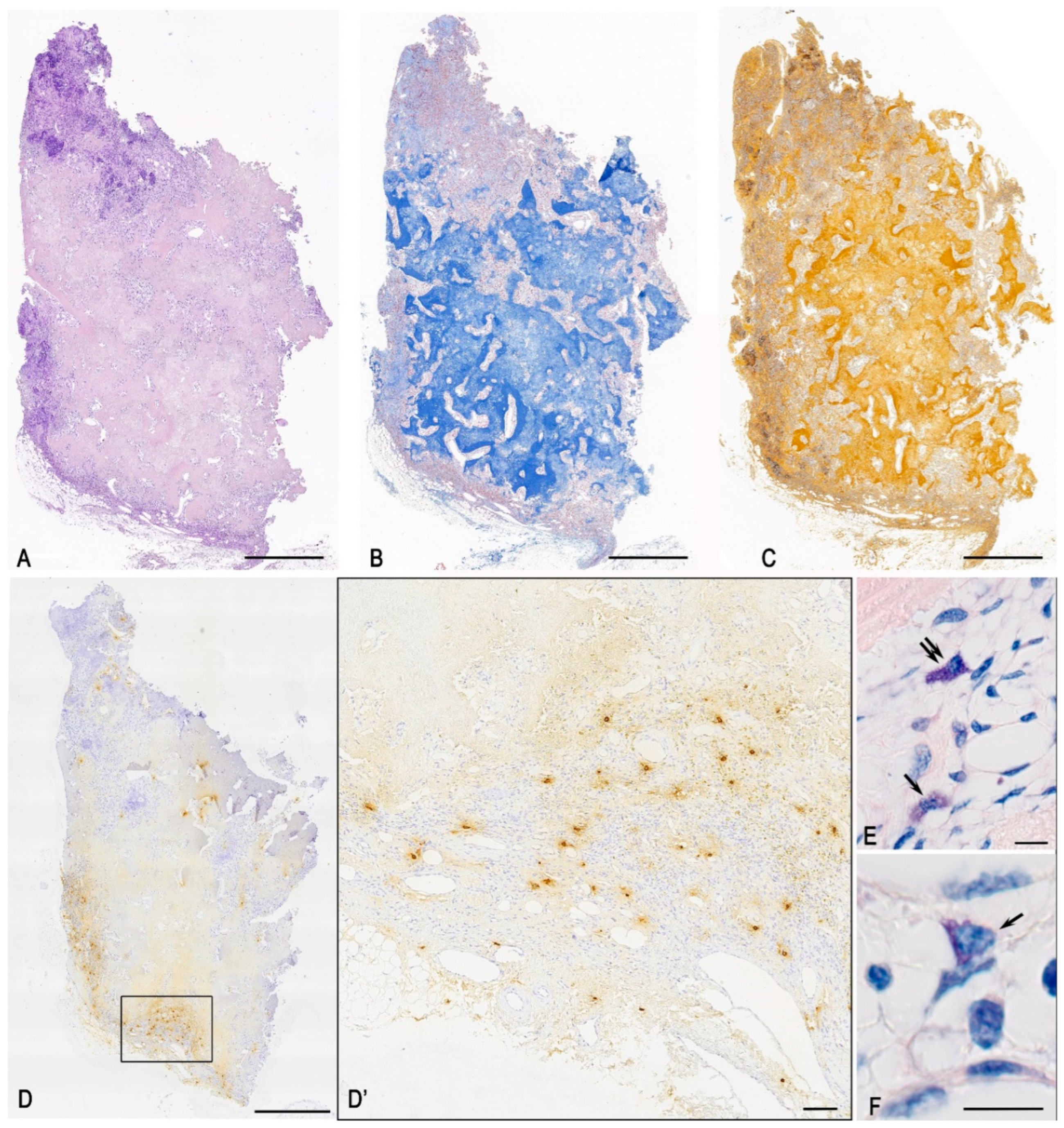 Medsci 13 00195 g002 Medsci 13 00195 g002