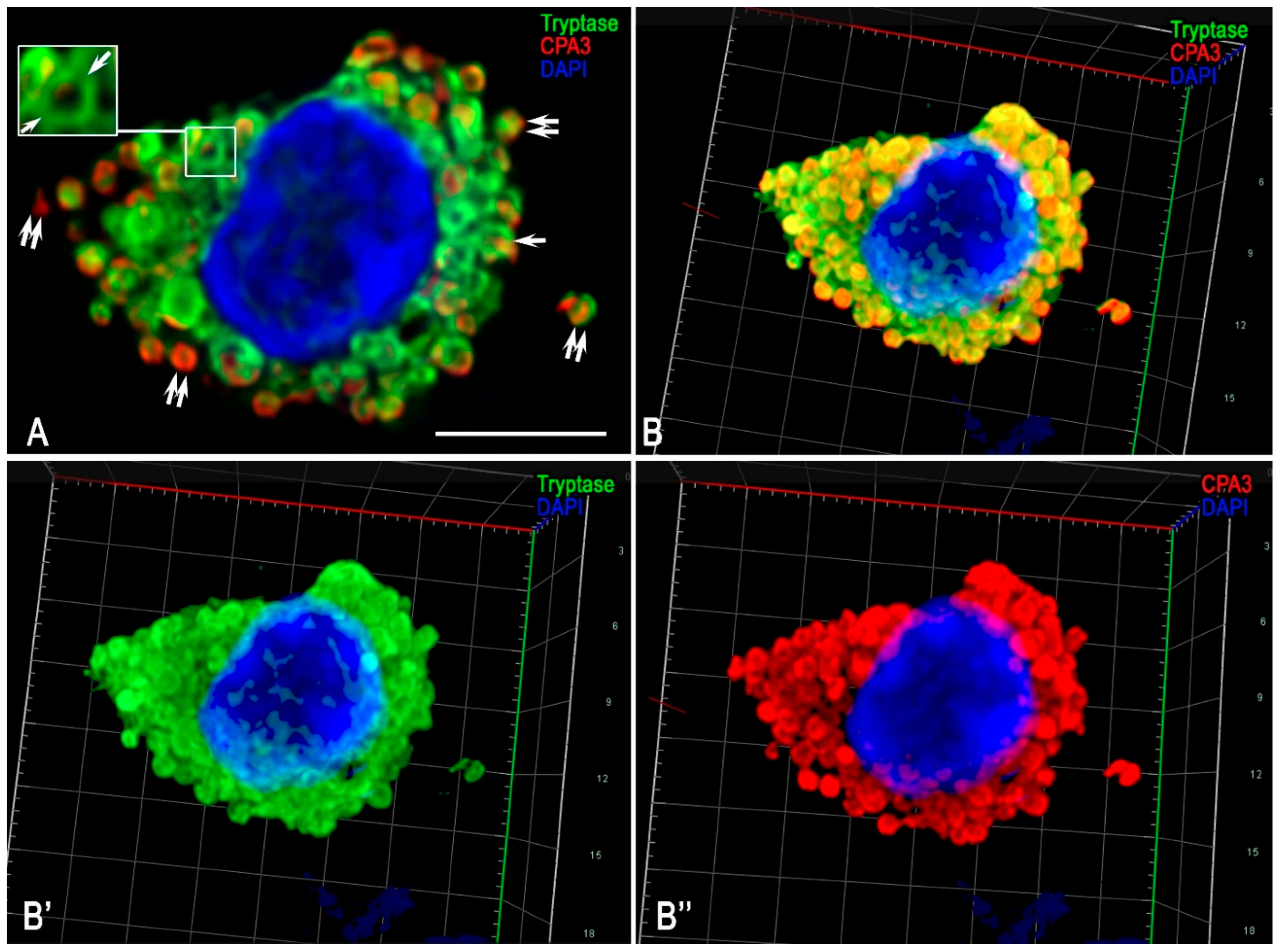 Medsci 13 00195 g007 Medsci 13 00195 g007