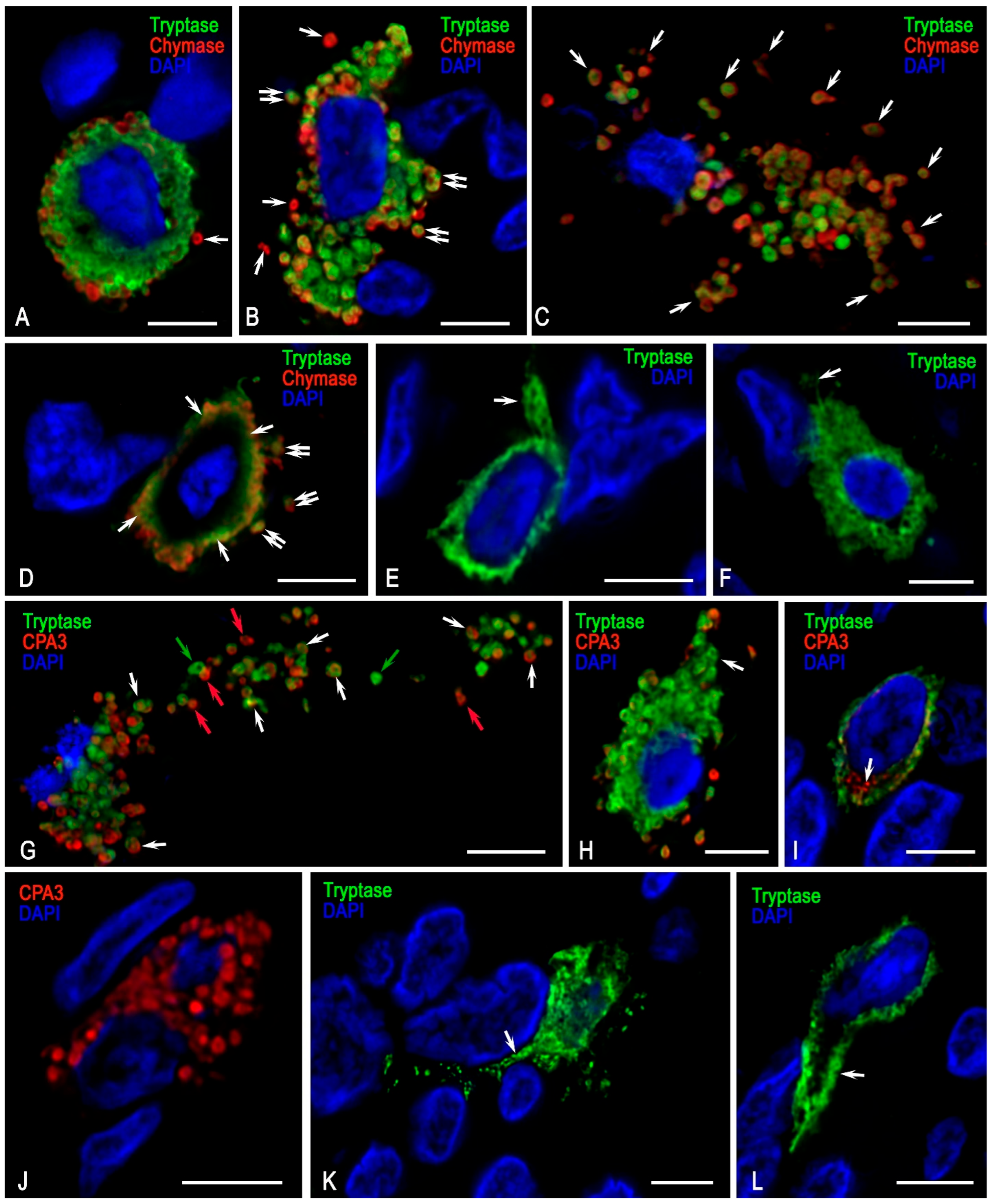 Medsci 13 00195 g008 Medsci 13 00195 g008