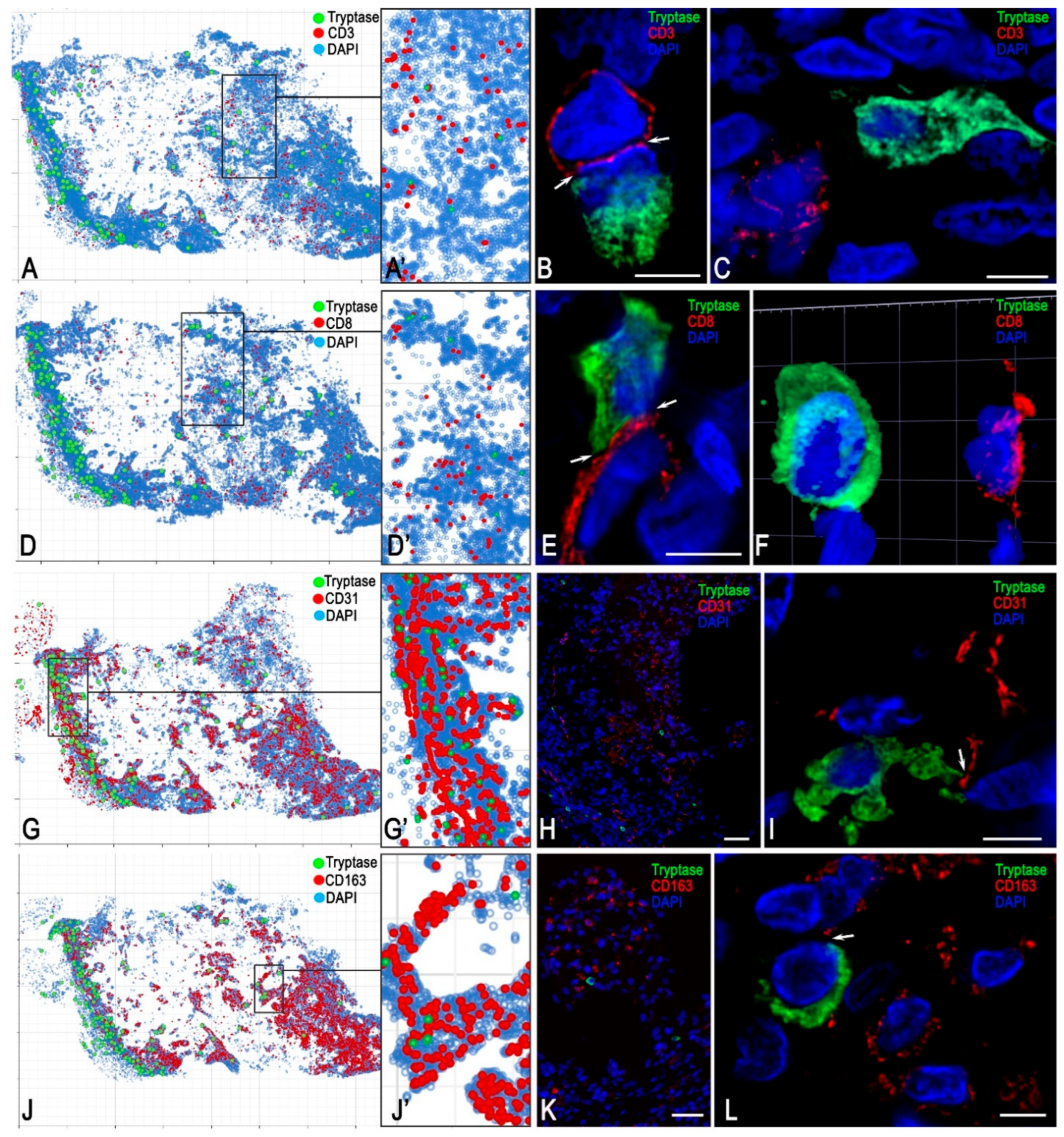 Medsci 13 00195 g010 Medsci 13 00195 g010