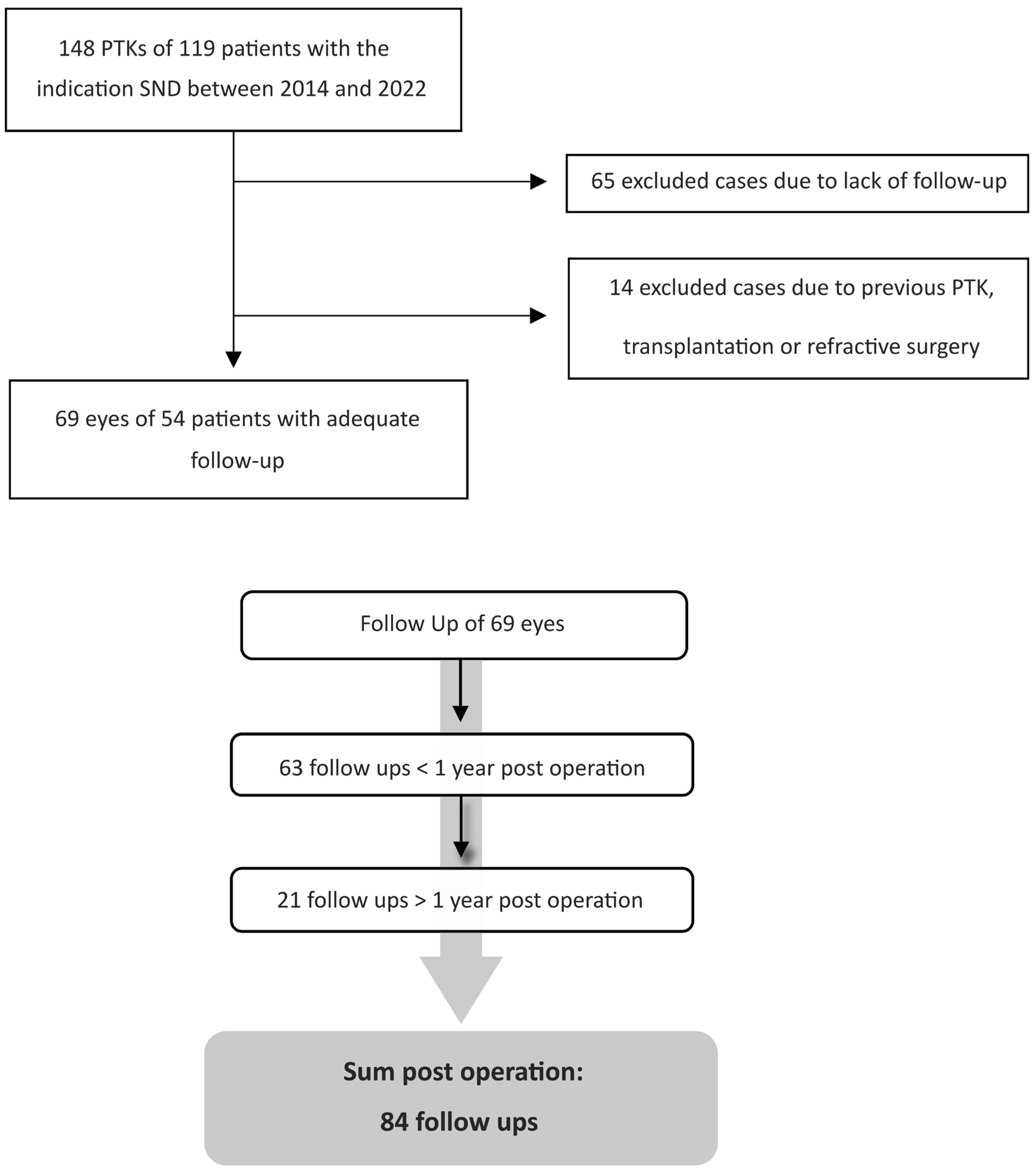 Medsci 13 00197 g001