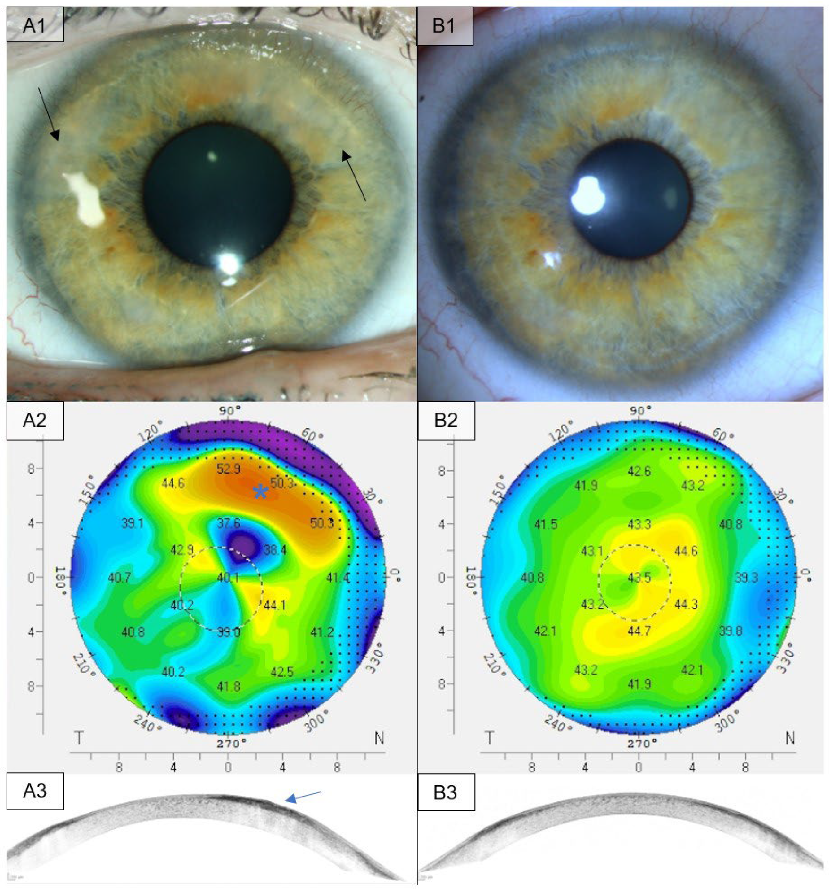 Medsci 13 00197 g003