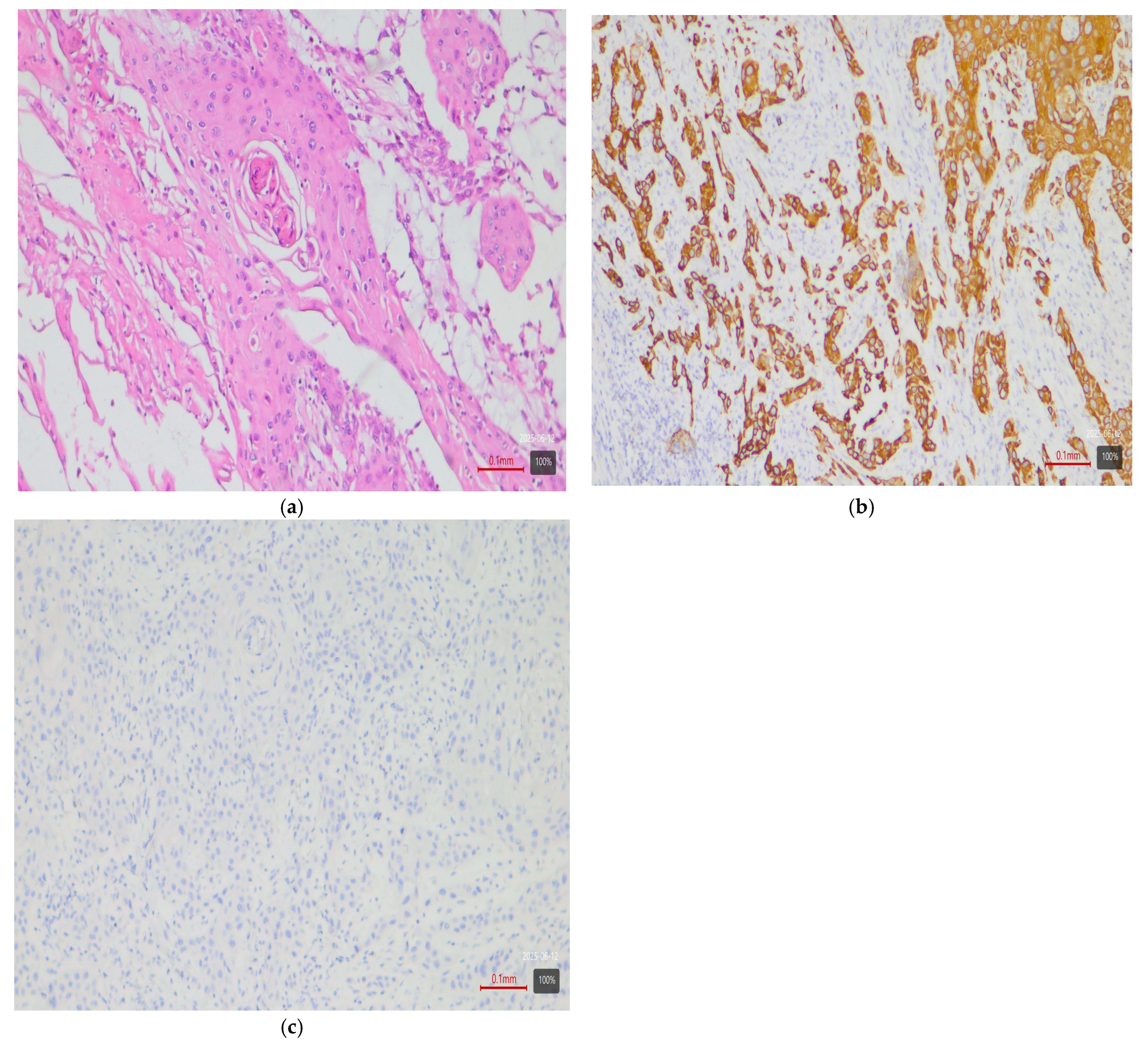 Medsci 13 00202 g003