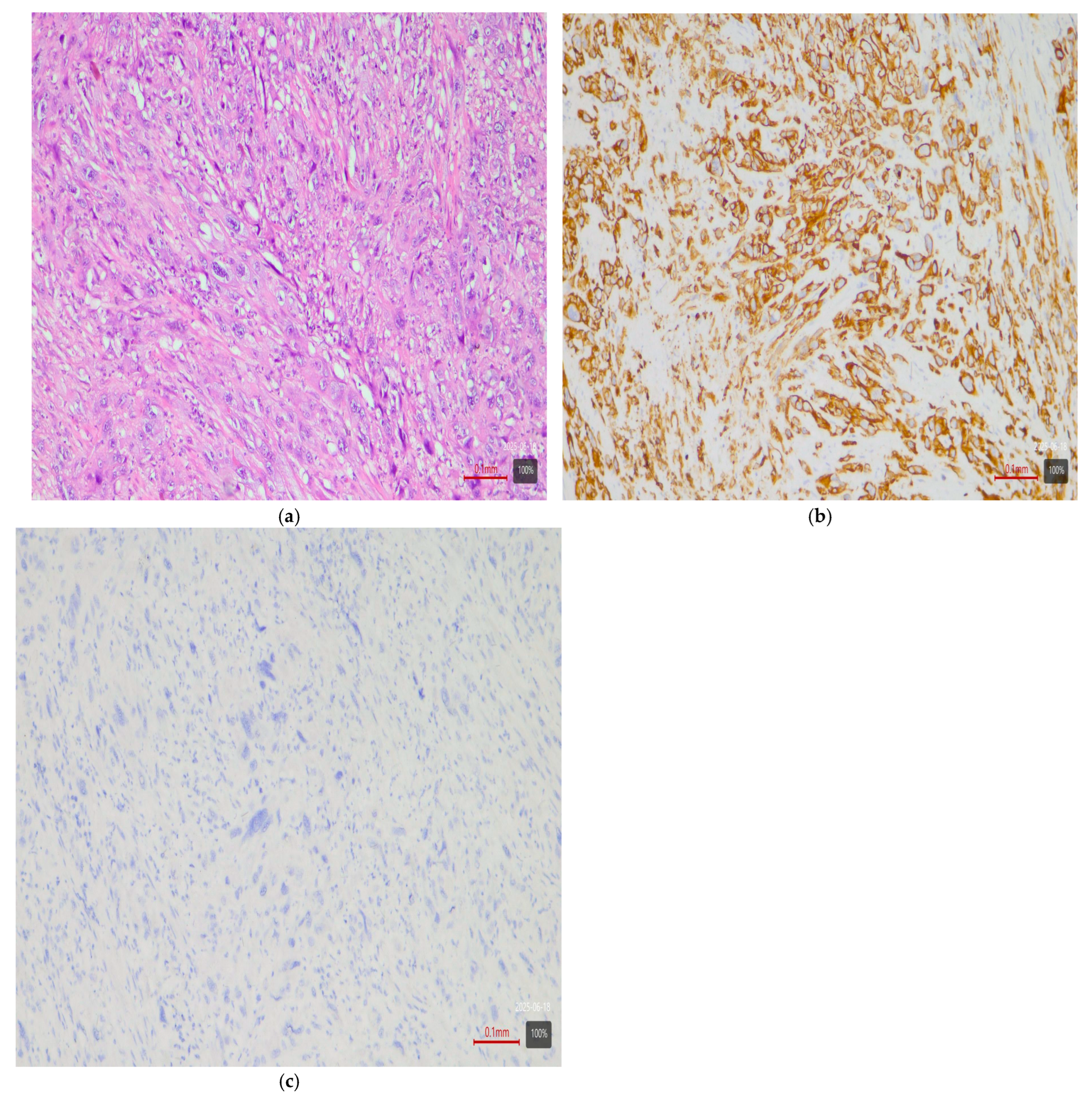 Medsci 13 00202 g004