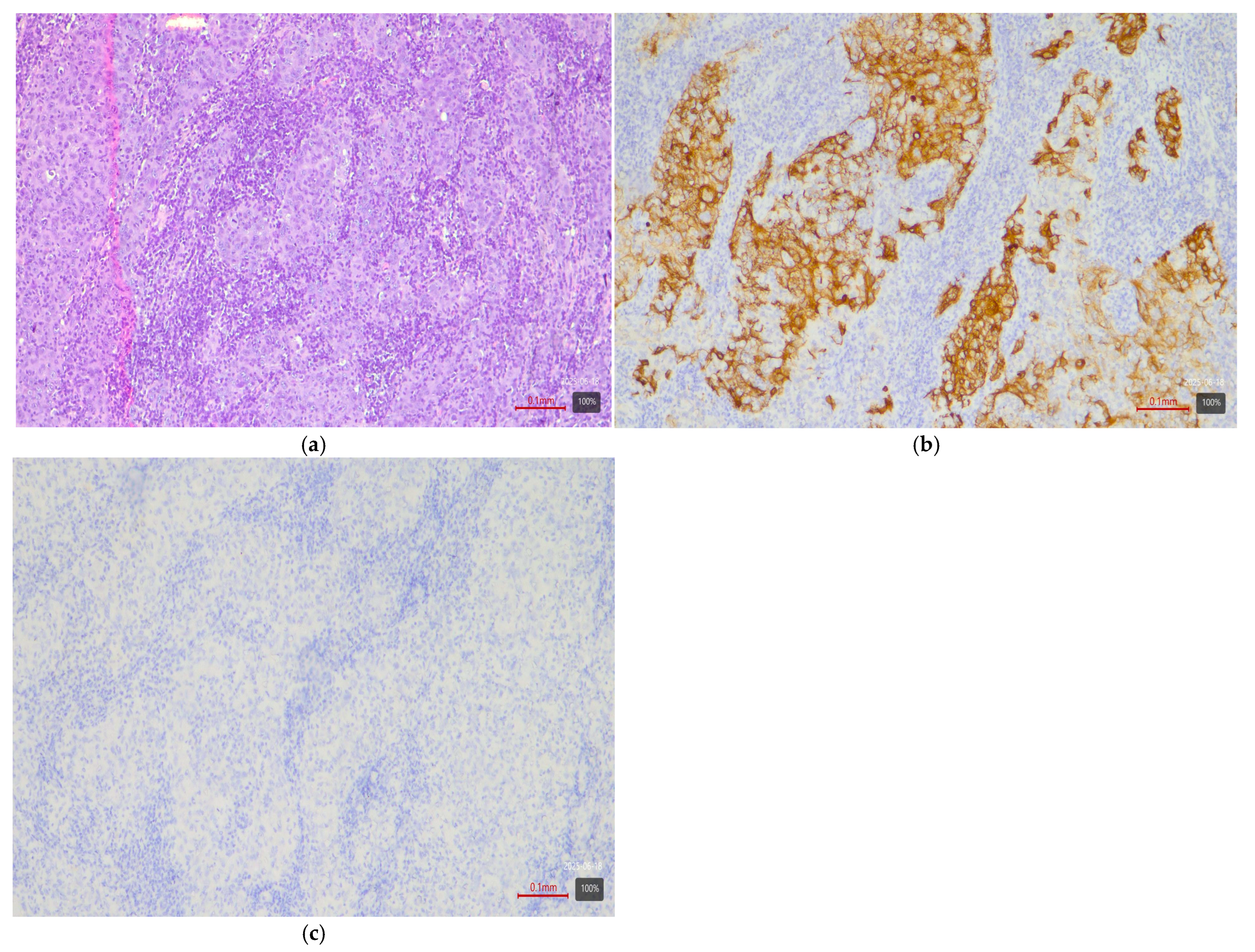 Medsci 13 00202 g006