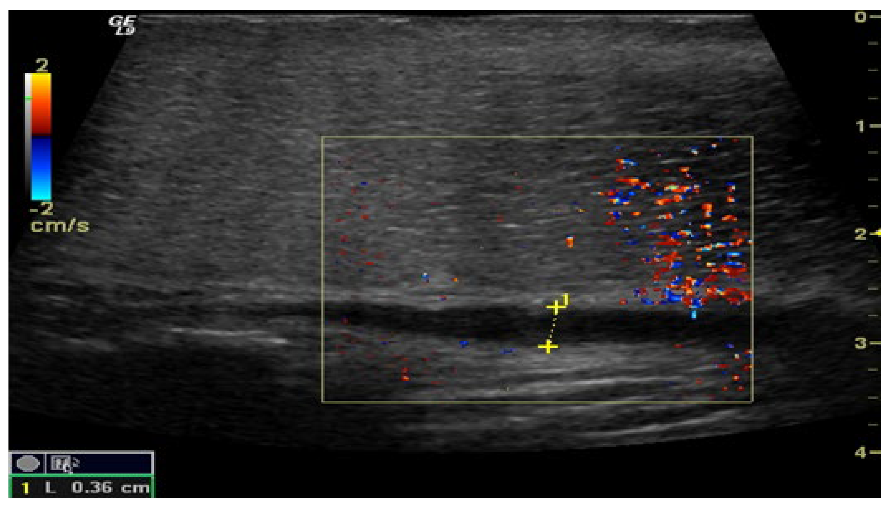 Medsci 13 00208 g003