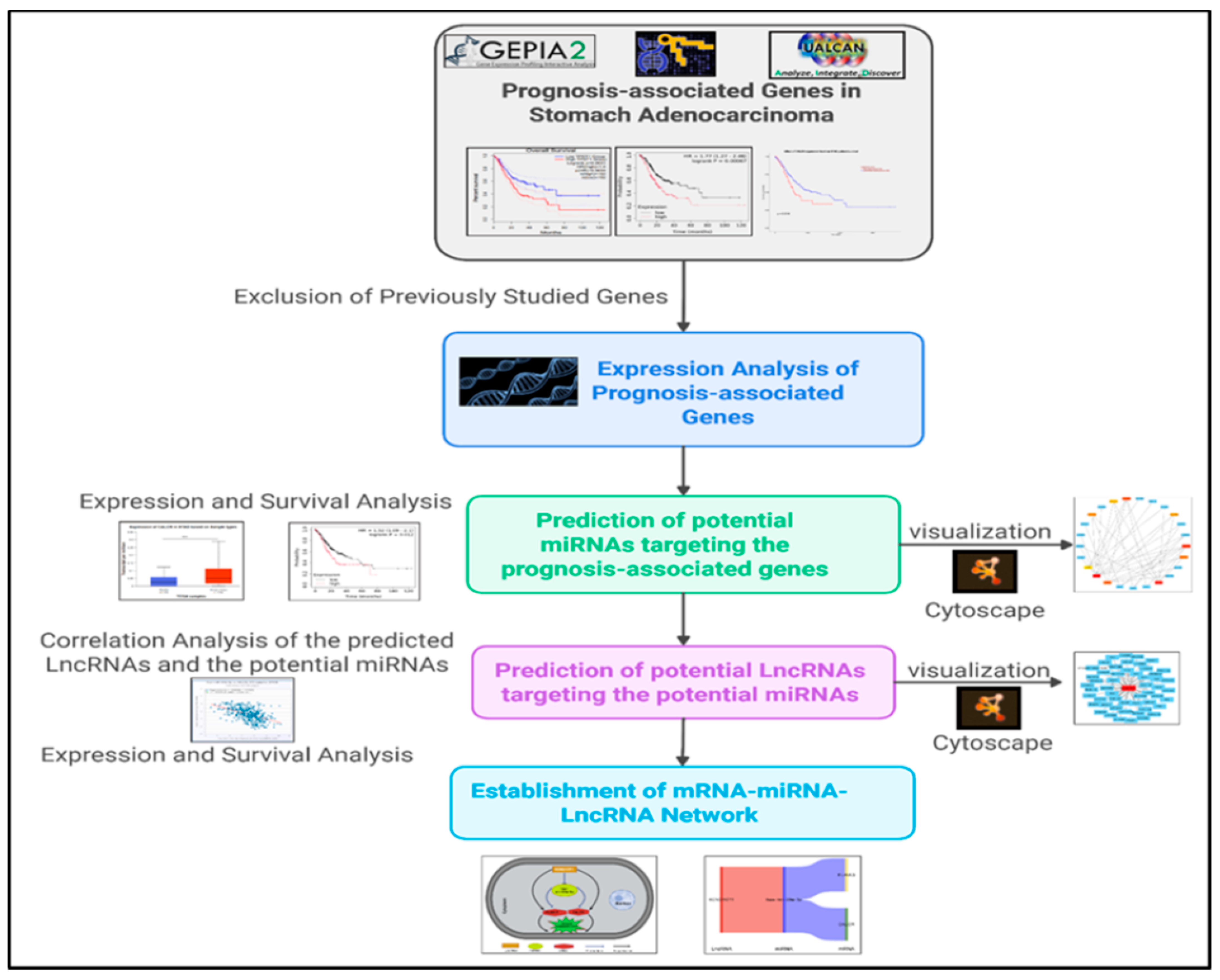 Medsci 13 00214 g001 Medsci 13 00214 g001