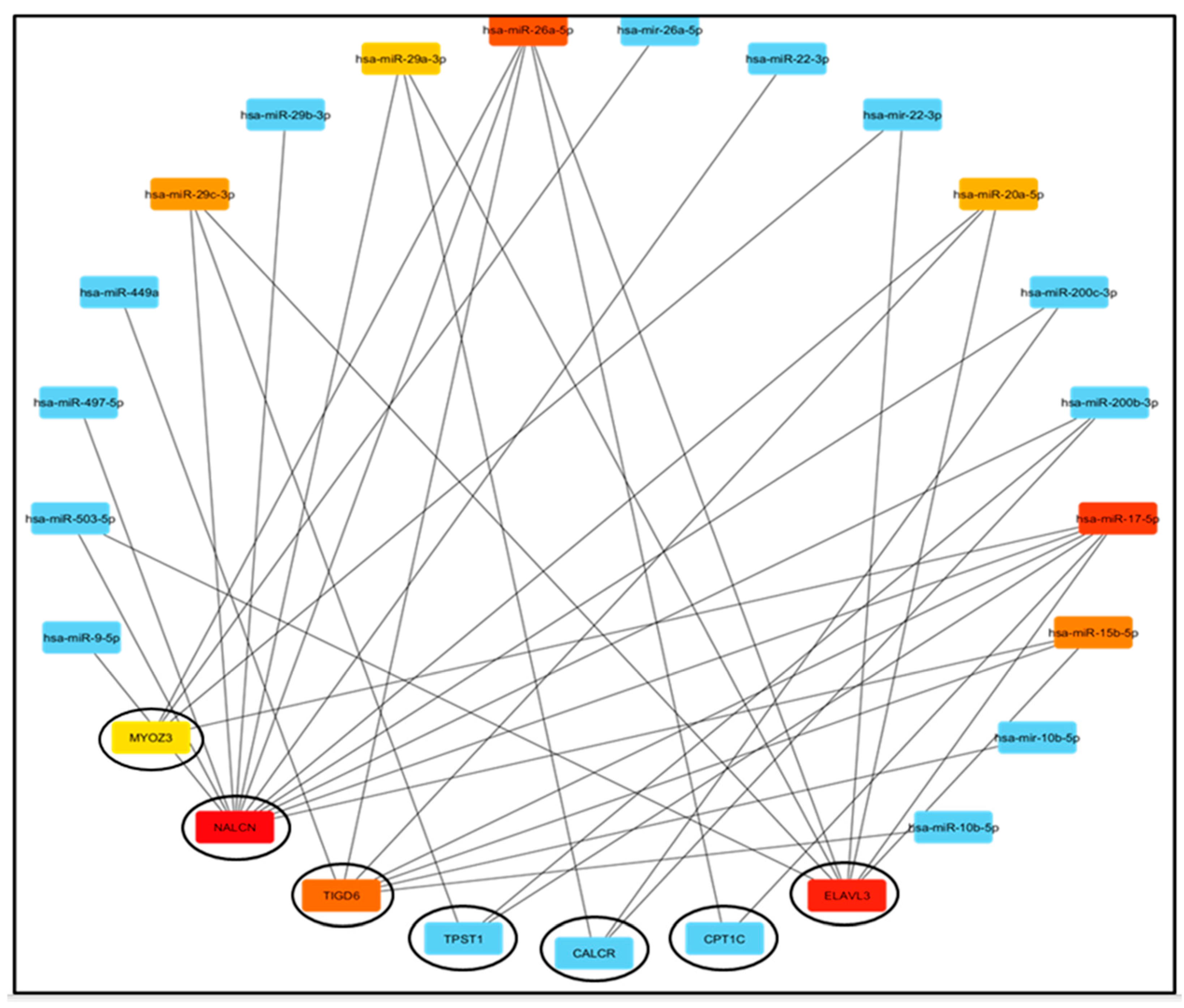 Medsci 13 00214 g002 Medsci 13 00214 g002