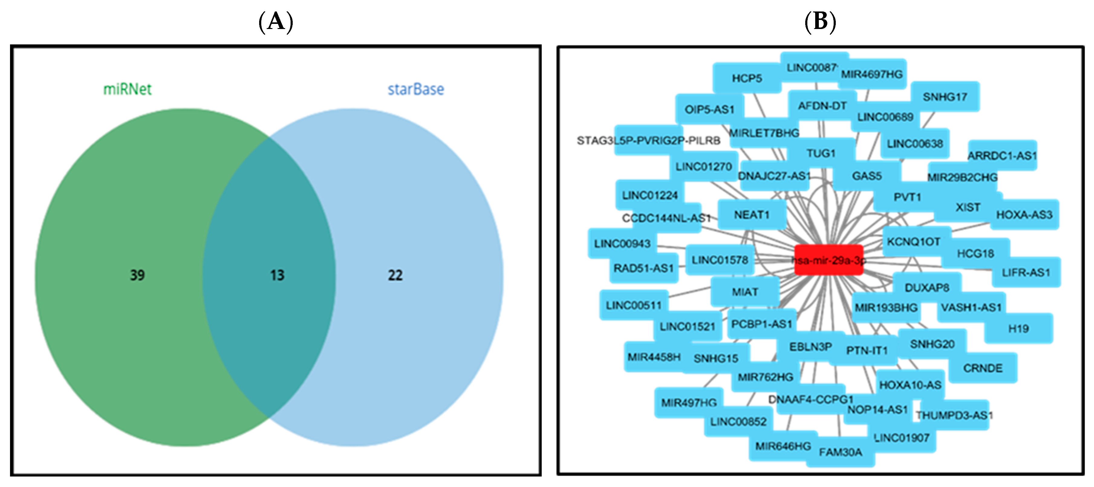 Medsci 13 00214 g004 Medsci 13 00214 g004