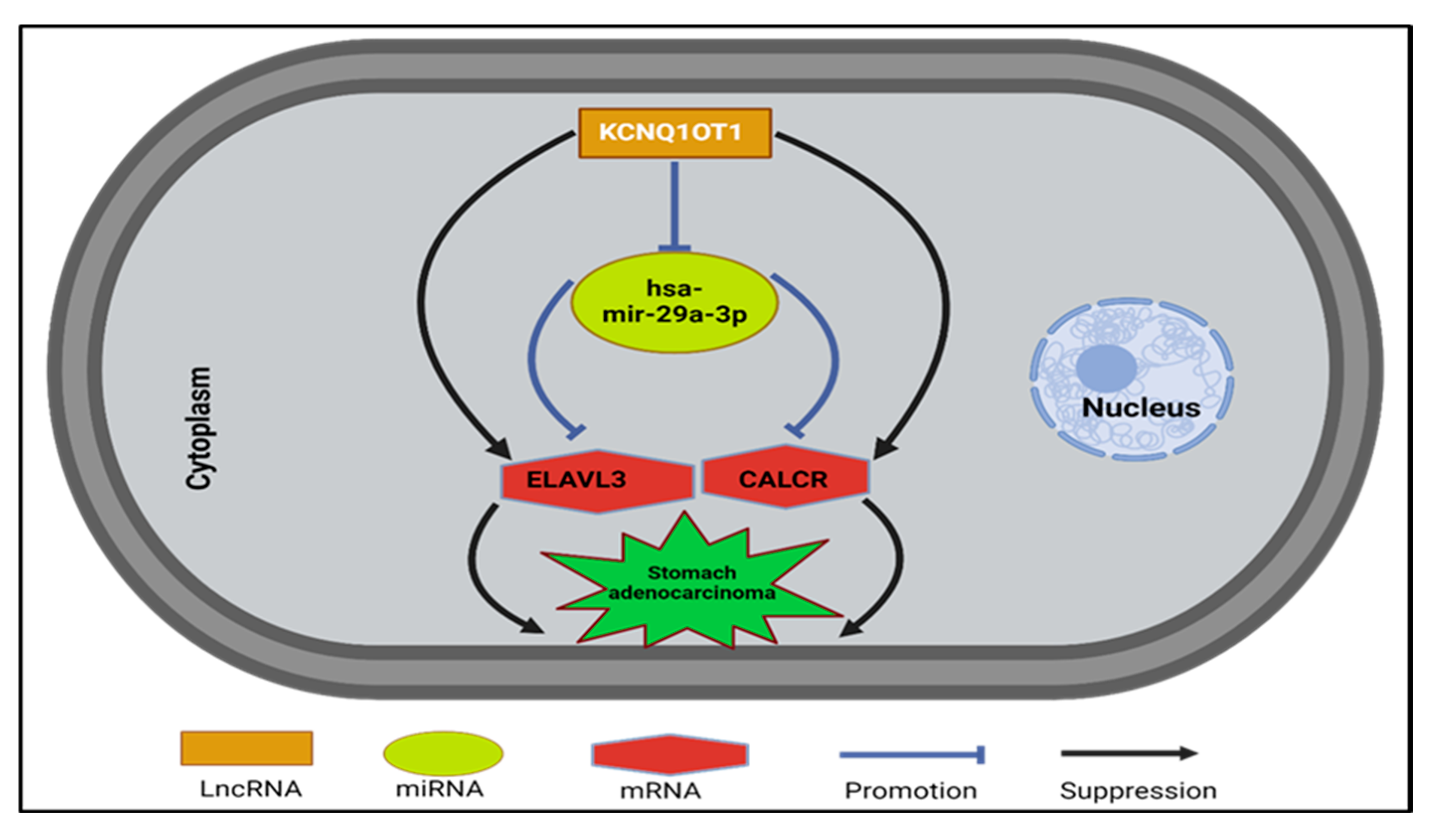 Medsci 13 00214 g008 Medsci 13 00214 g008