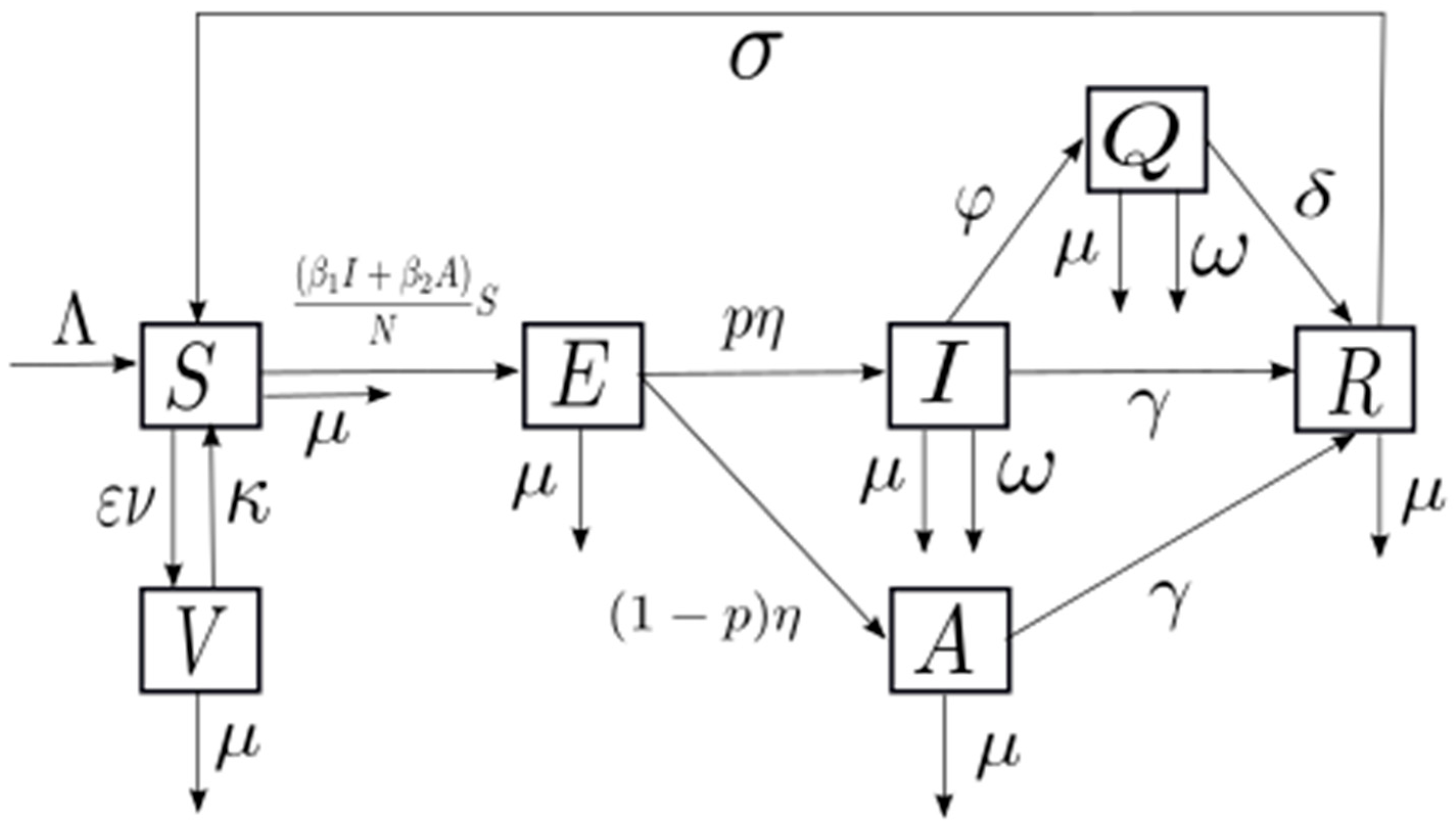 Medsci 13 00226 g001 Medsci 13 00226 g001
