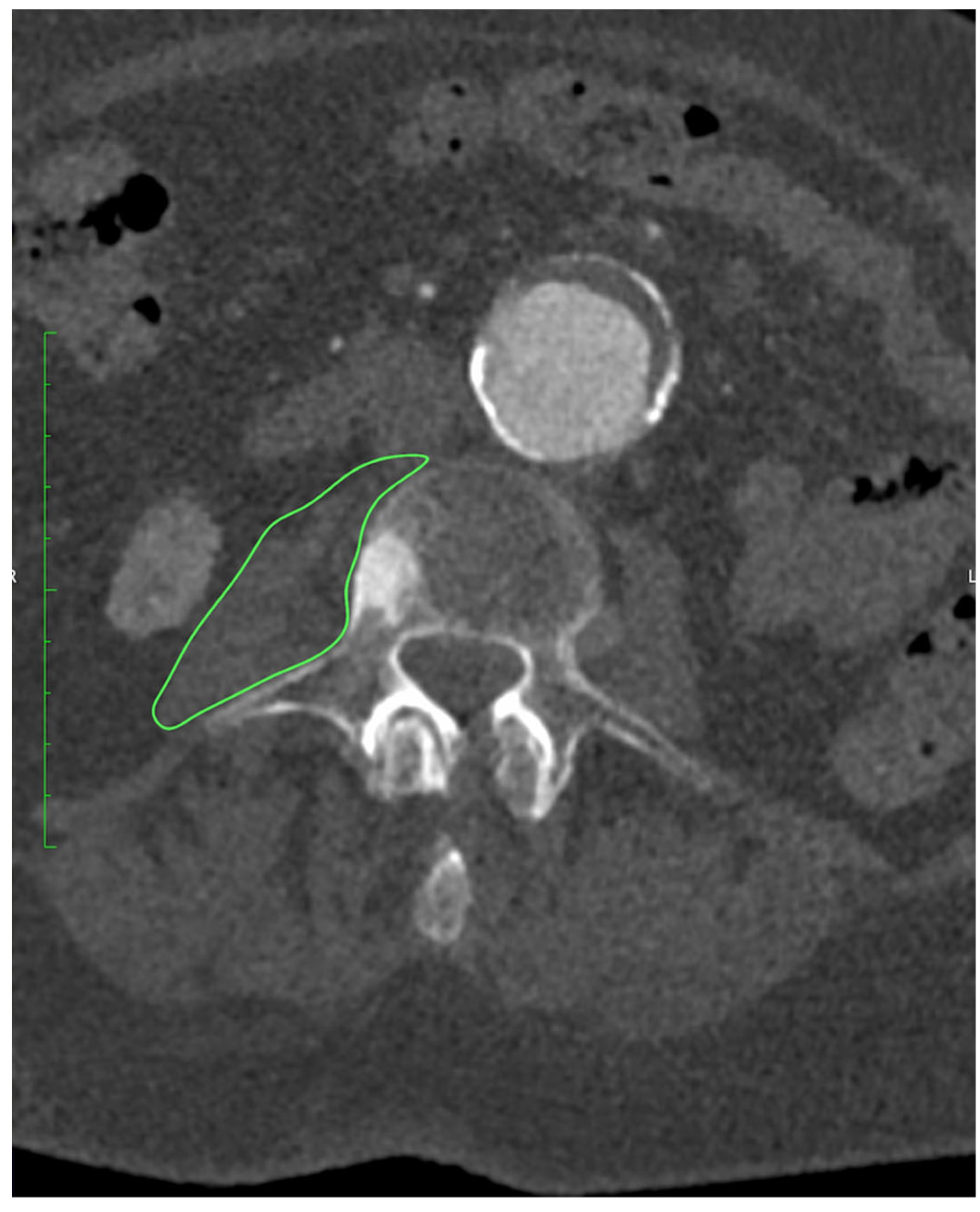 Medsci 13 00227 g001