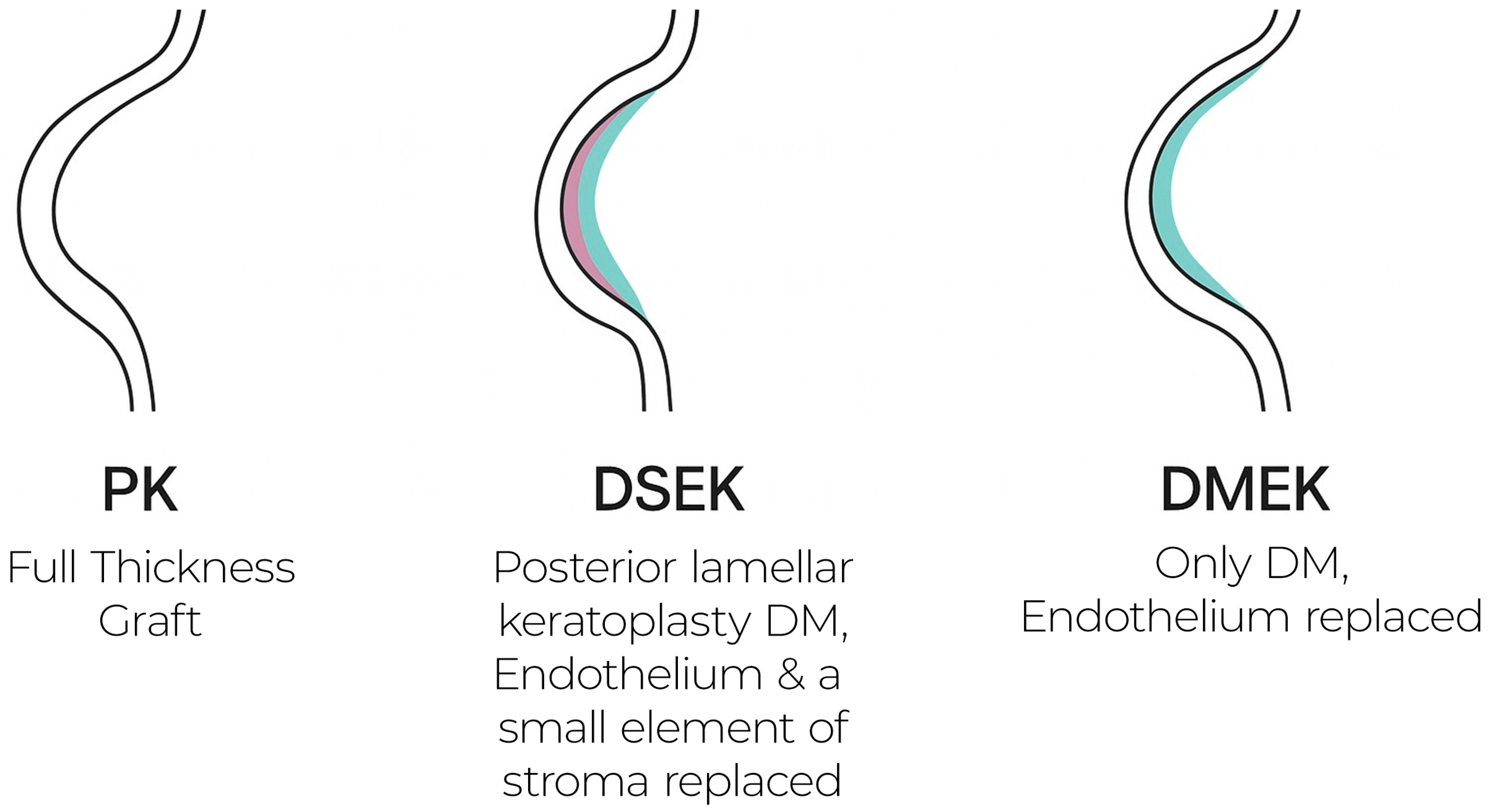 Medsci 13 00238 g002