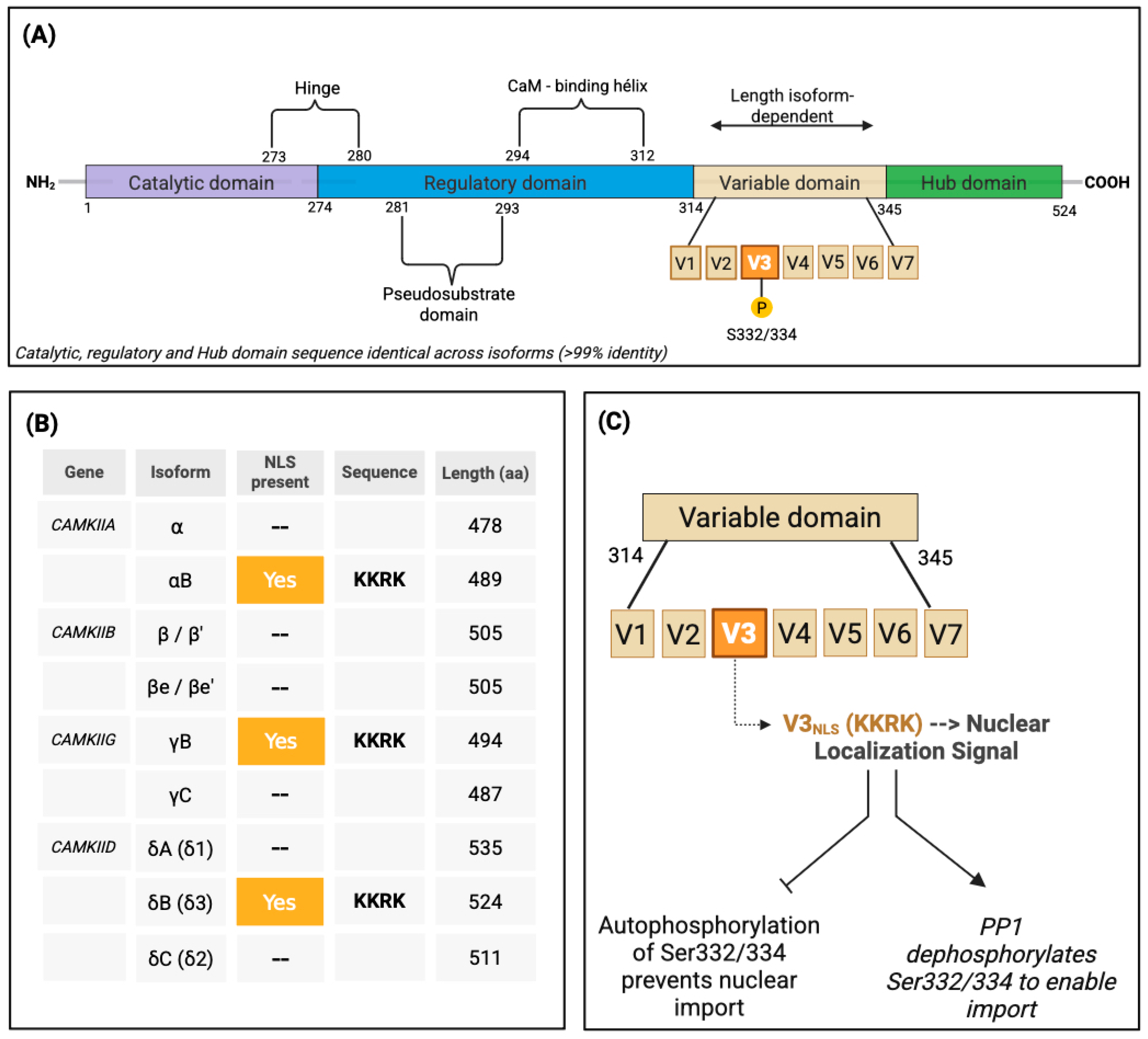 Medsci 13 00246 g001 Medsci 13 00246 g001