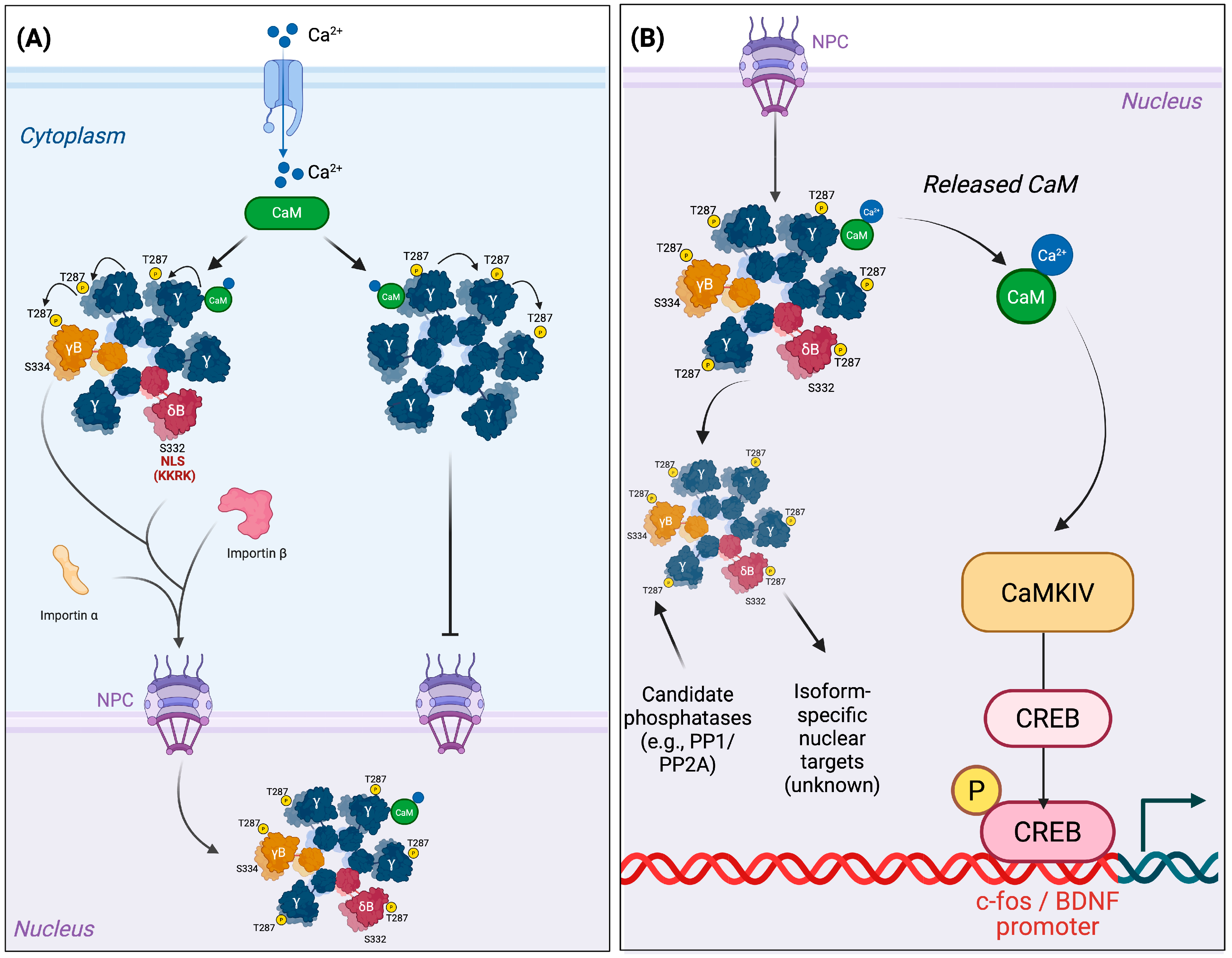 Medsci 13 00246 g002 Medsci 13 00246 g002
