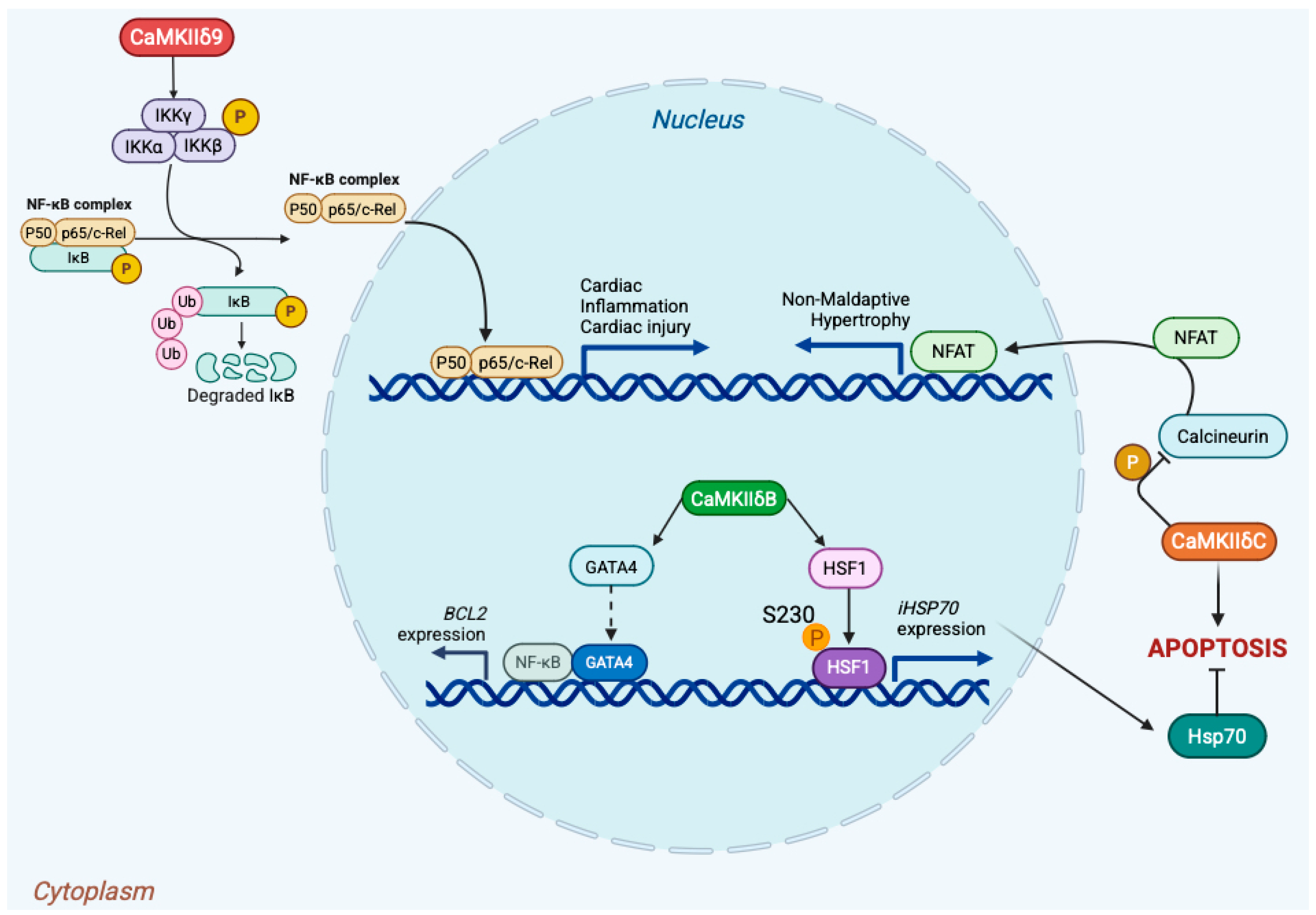 Medsci 13 00246 g003 Medsci 13 00246 g003