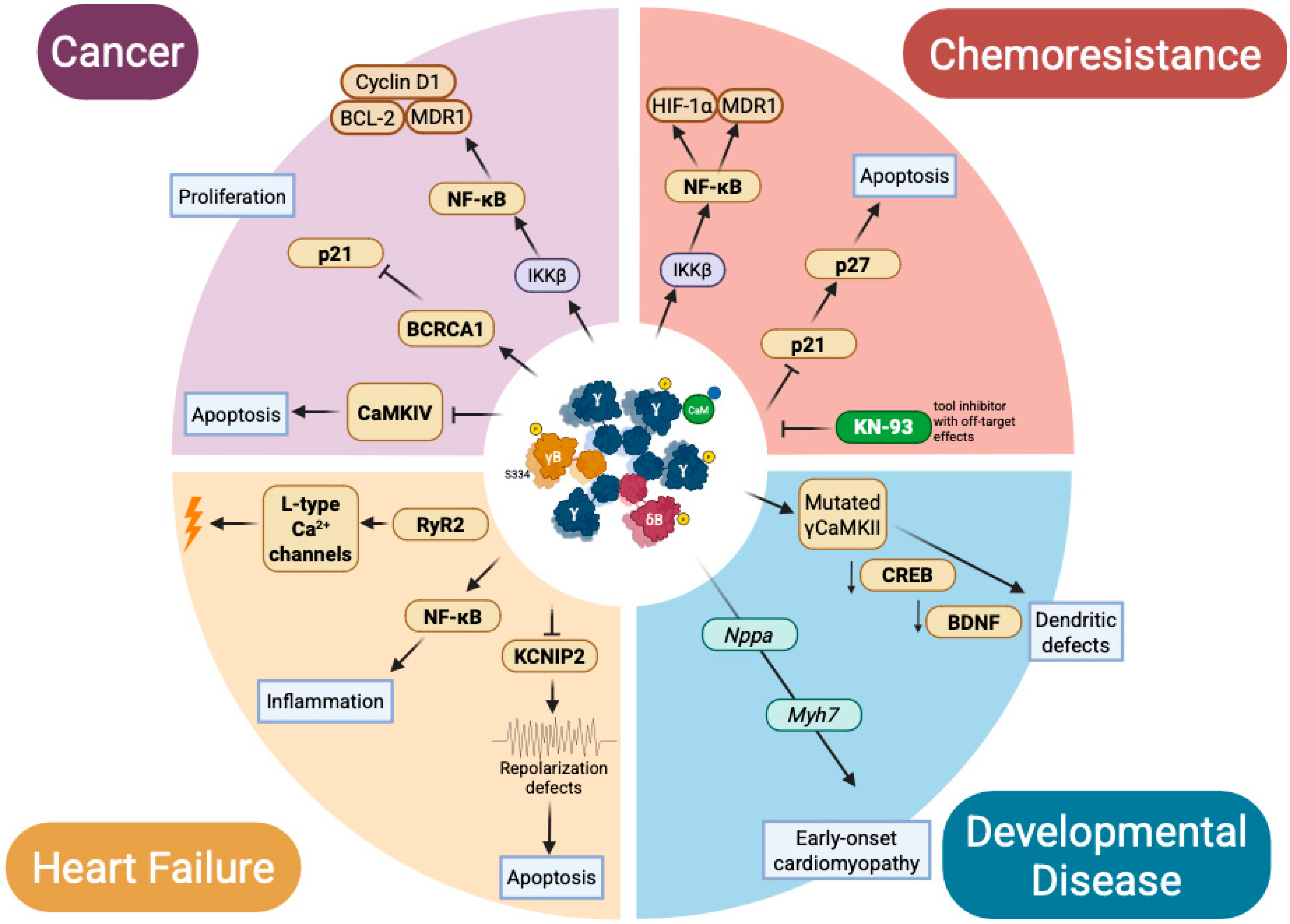 Medsci 13 00246 g006 Medsci 13 00246 g006