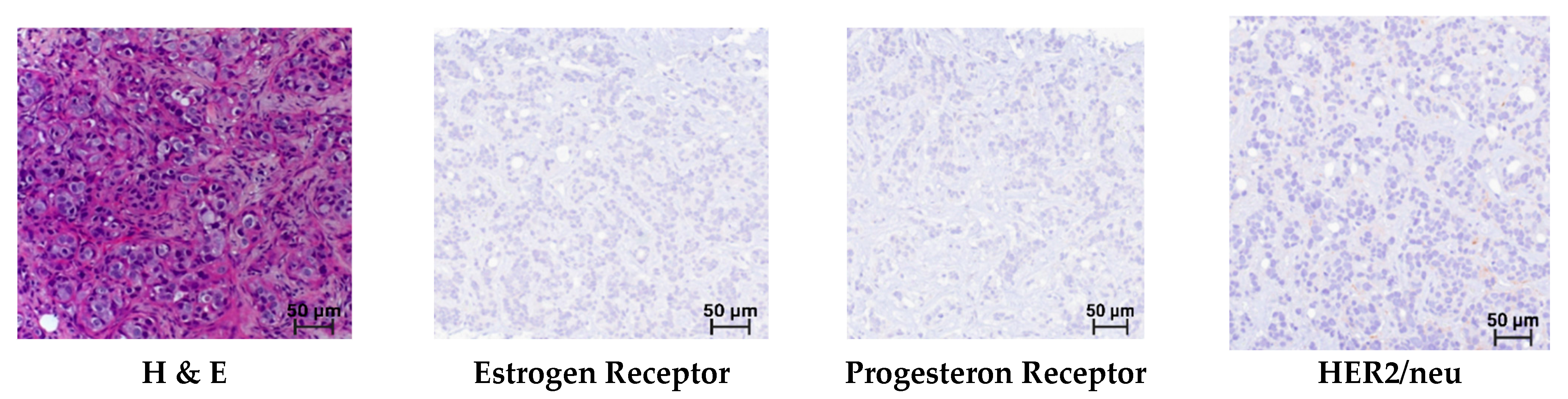 Medsci 13 00250 g003a Medsci 13 00250 g003a