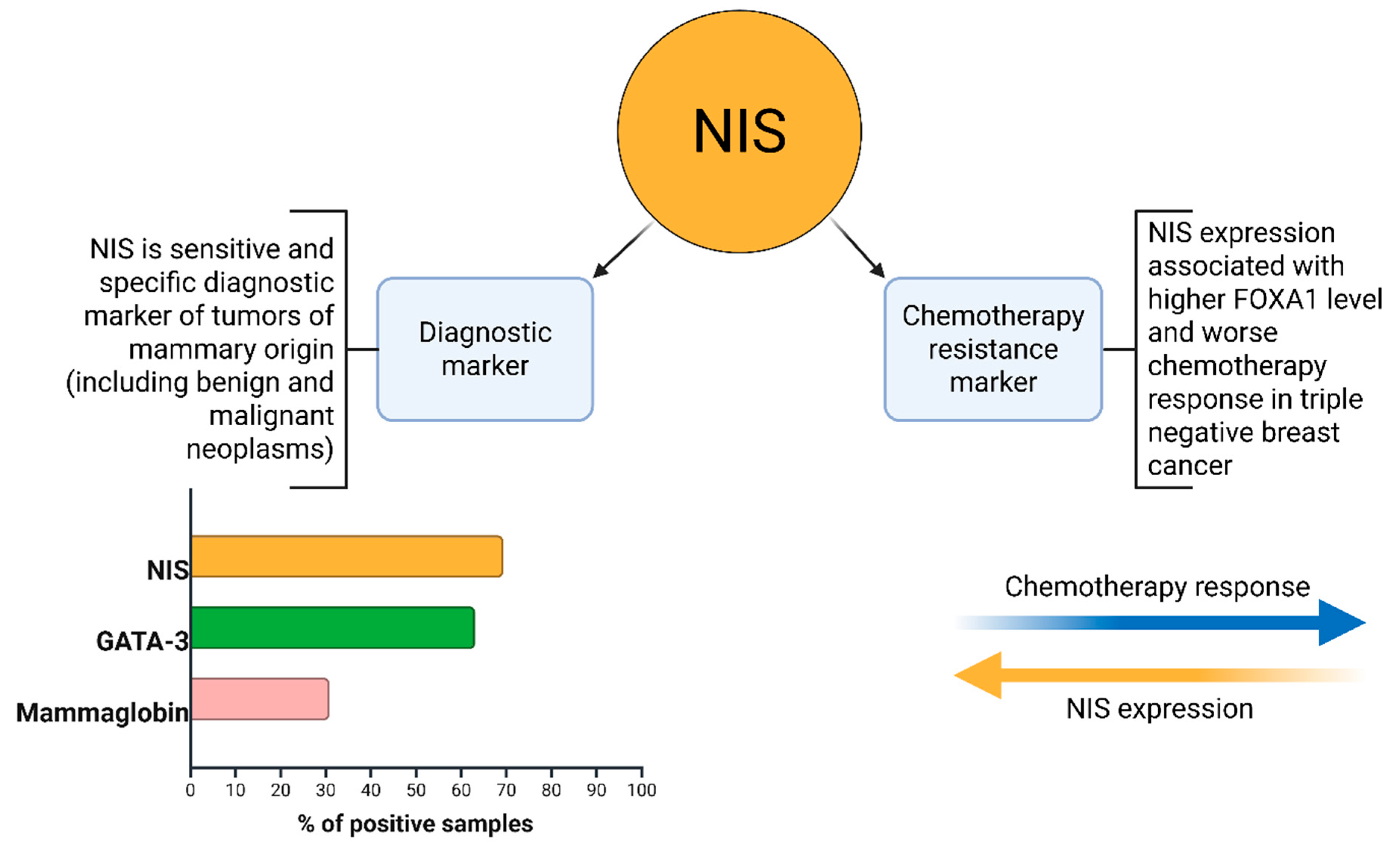 Medsci 13 00250 g010 Medsci 13 00250 g010