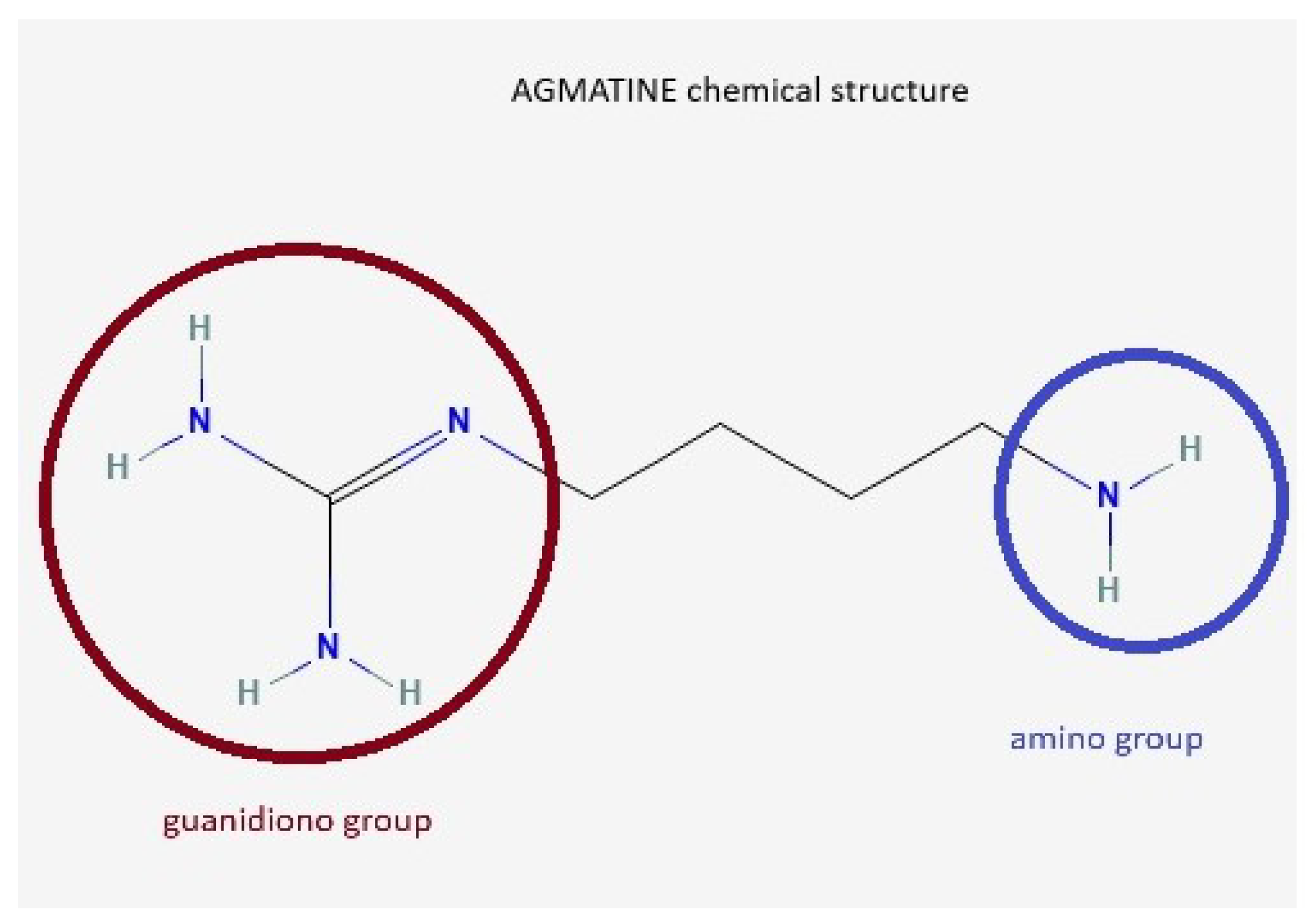 Medsci 13 00255 g001