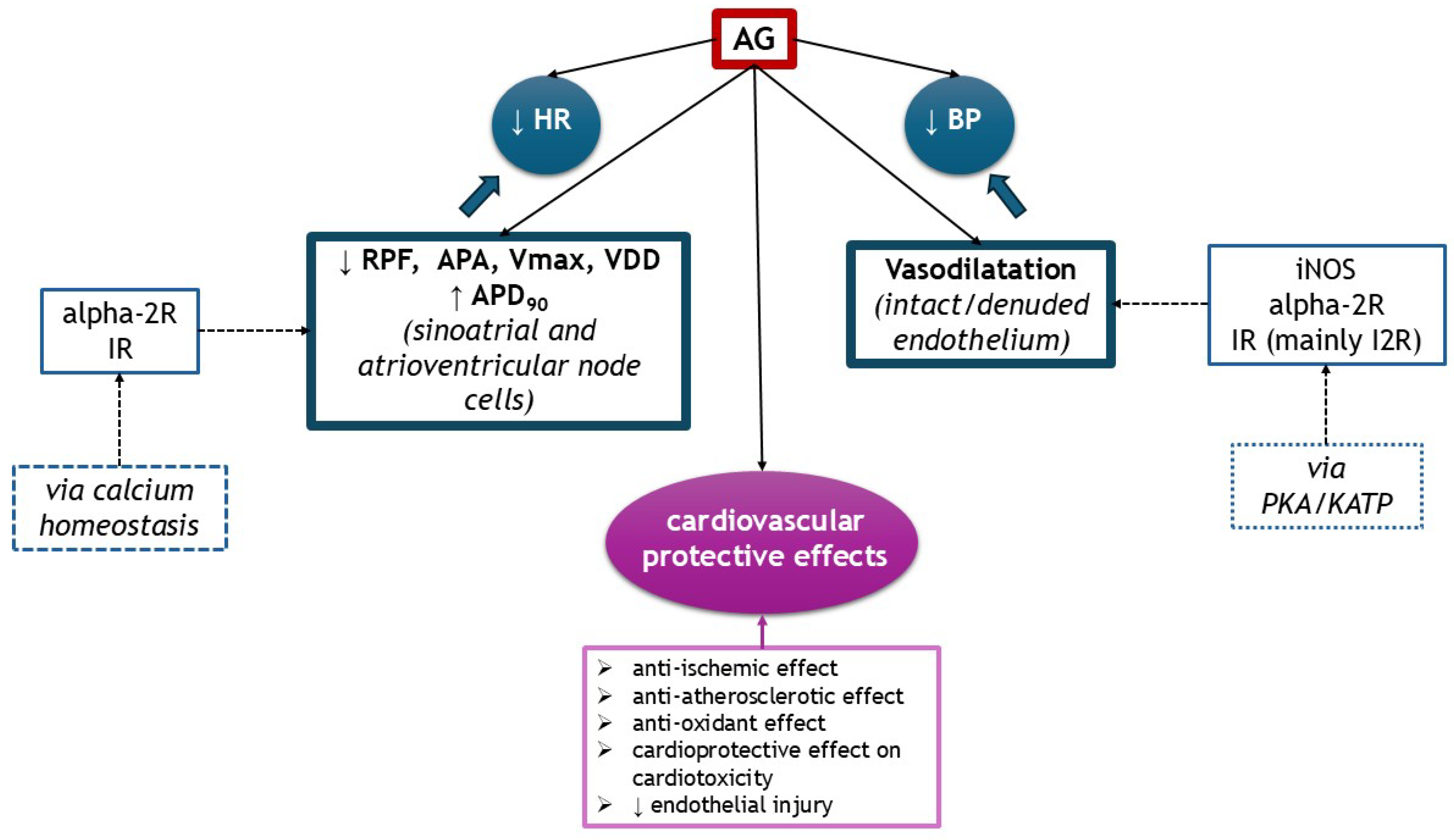 Medsci 13 00255 g005