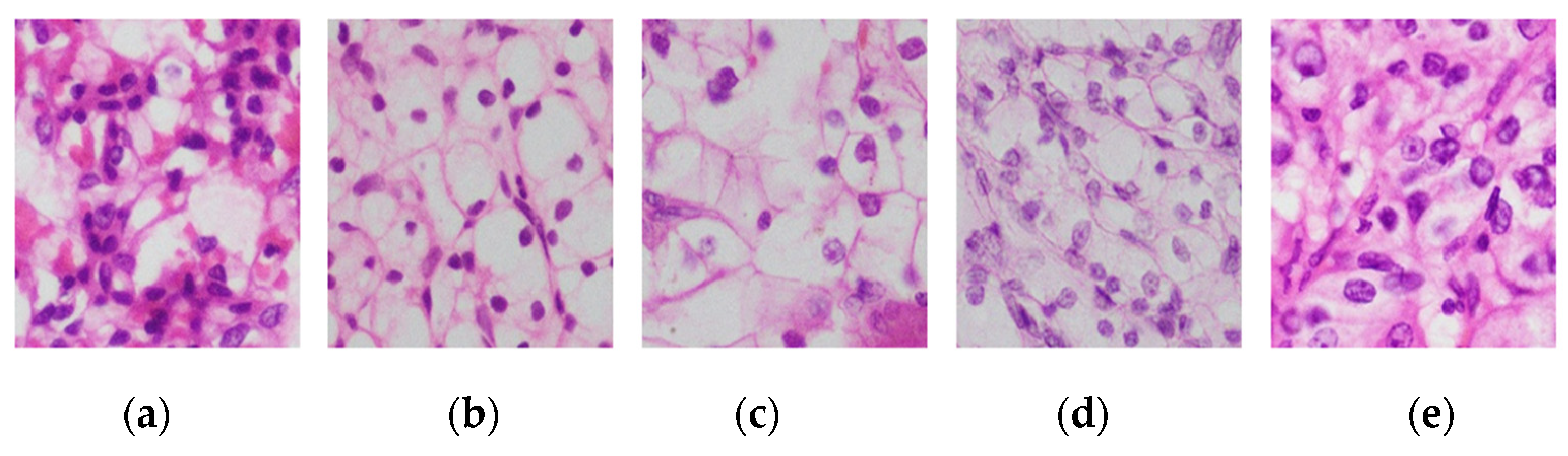 Medsci 13 00257 g001 Medsci 13 00257 g001