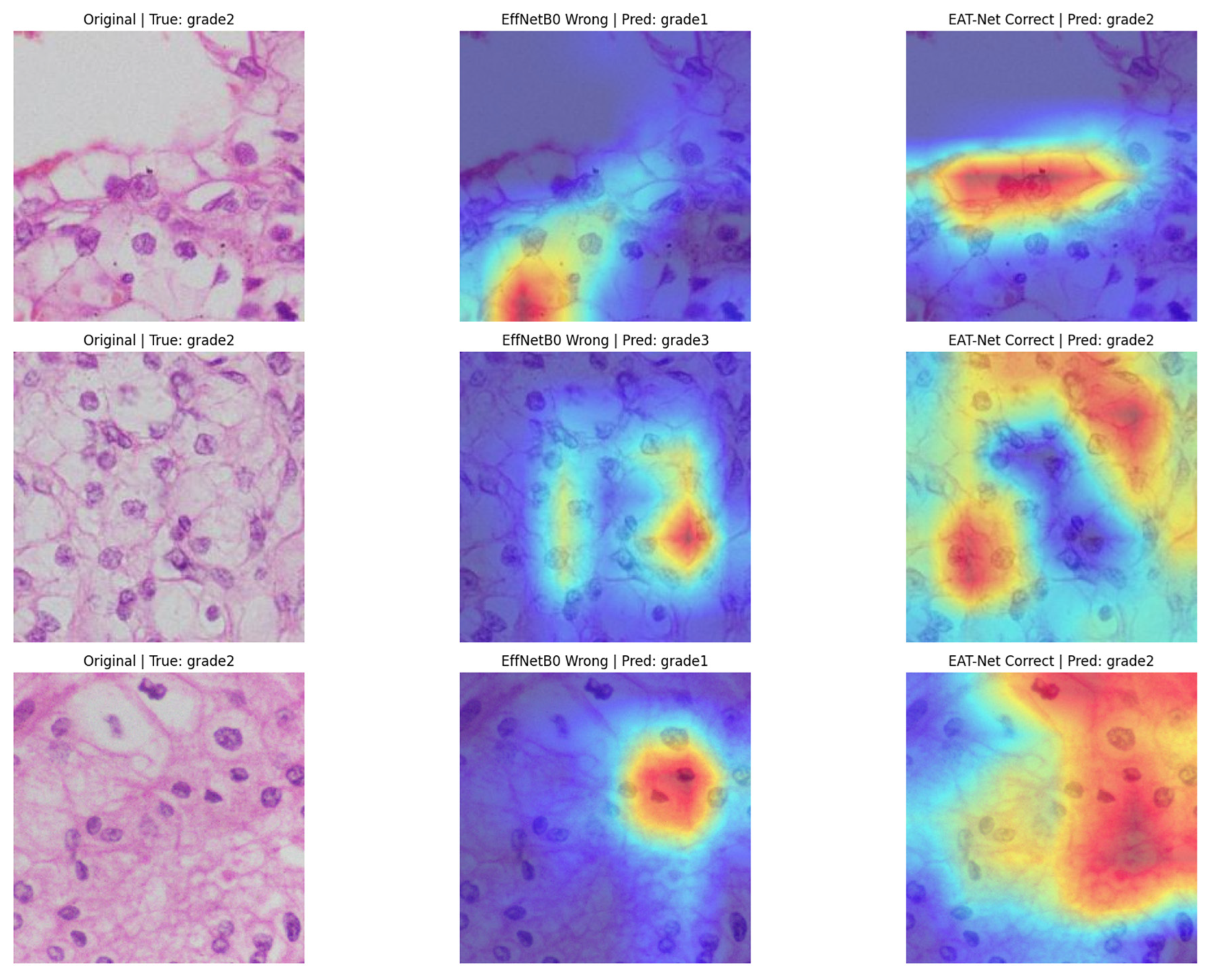 Medsci 13 00257 g005 Medsci 13 00257 g005