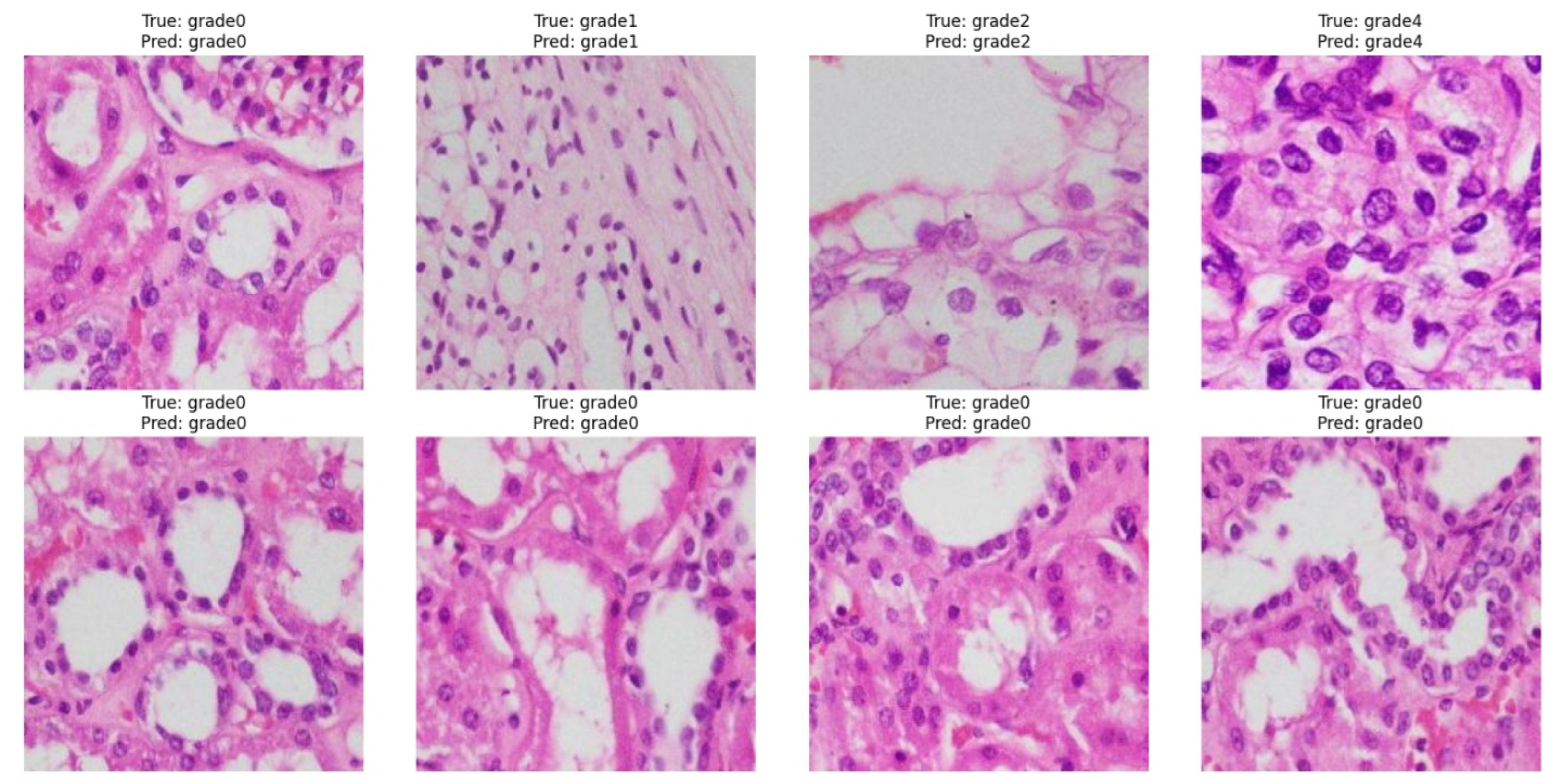 Medsci 13 00257 g006 Medsci 13 00257 g006