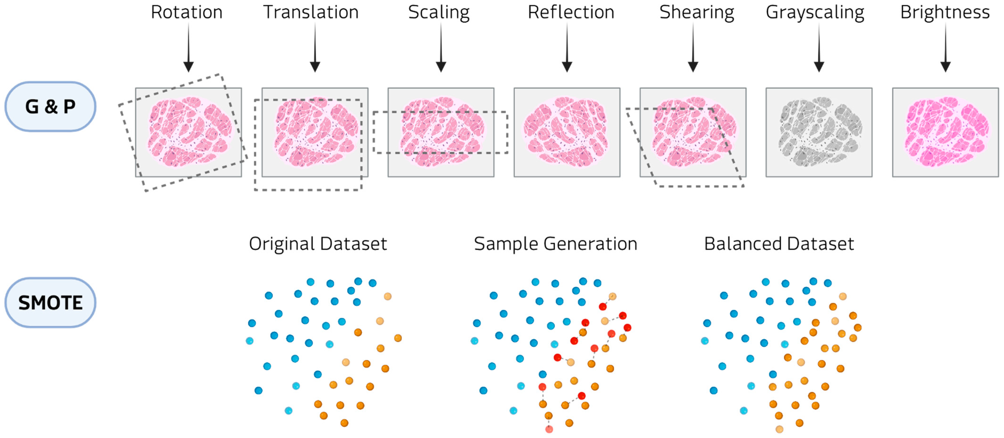 Medsci 13 00260 g003 Medsci 13 00260 g003