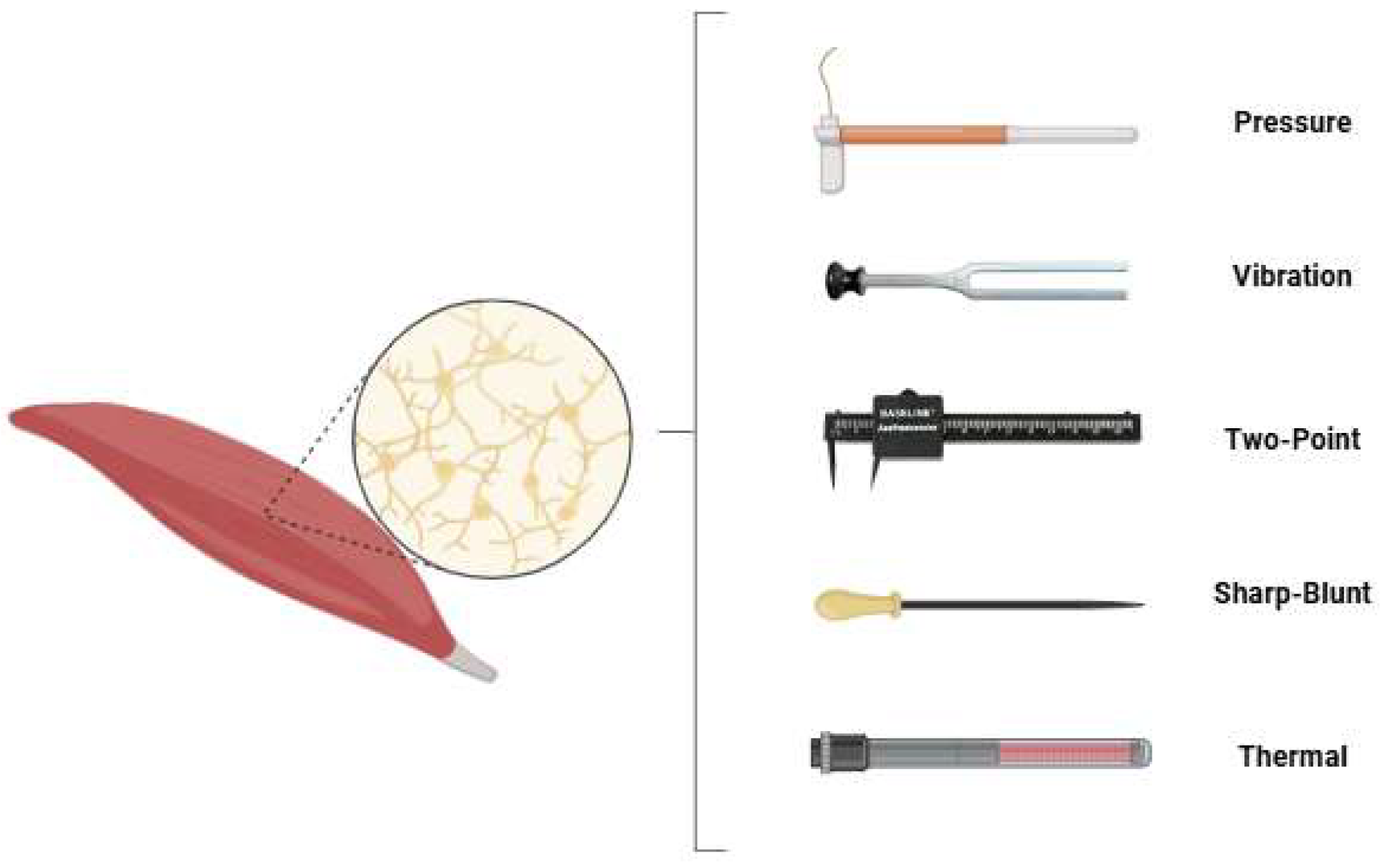 Medsci 13 00262 g001