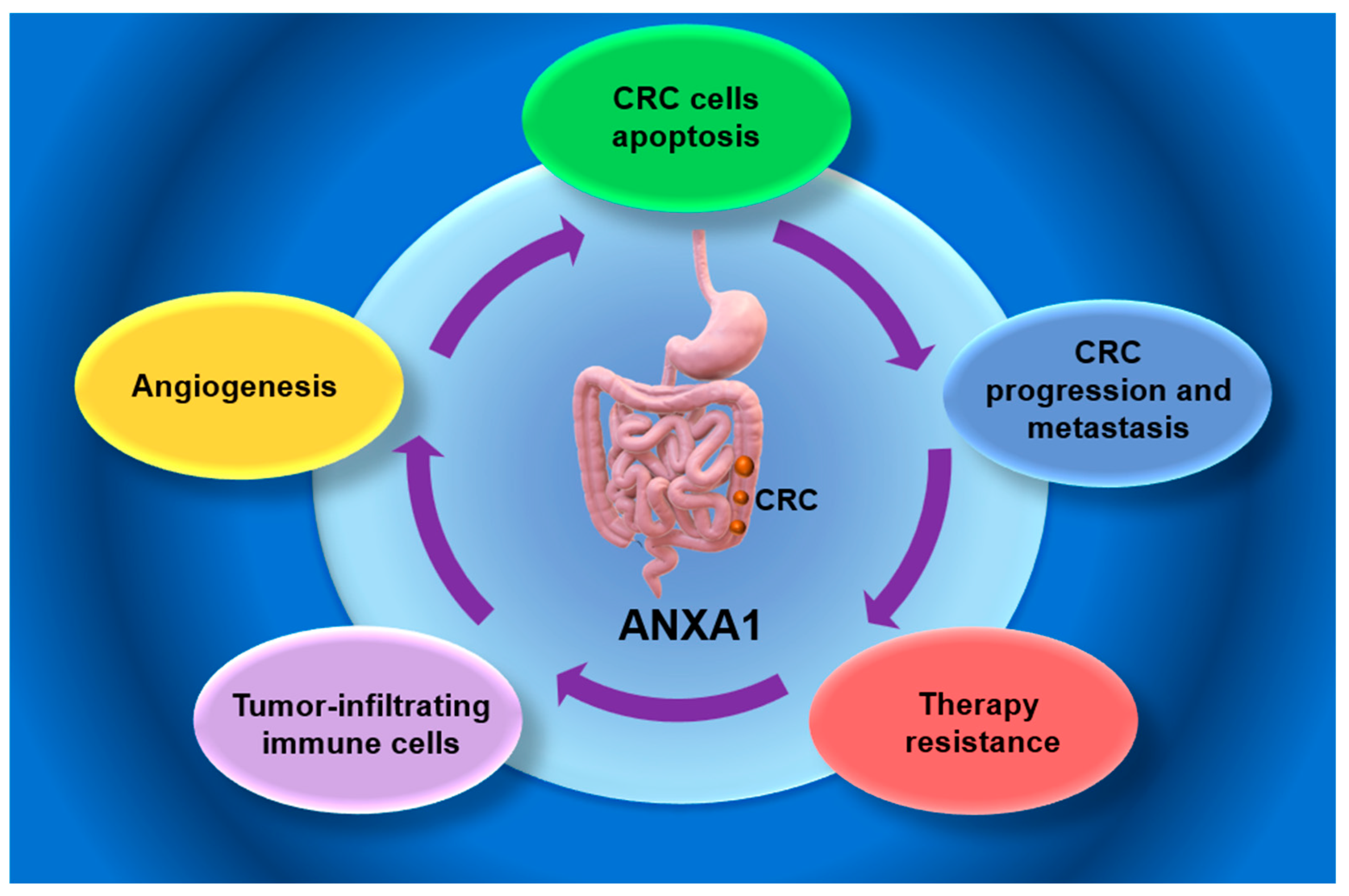 Medsci 13 00263 g001